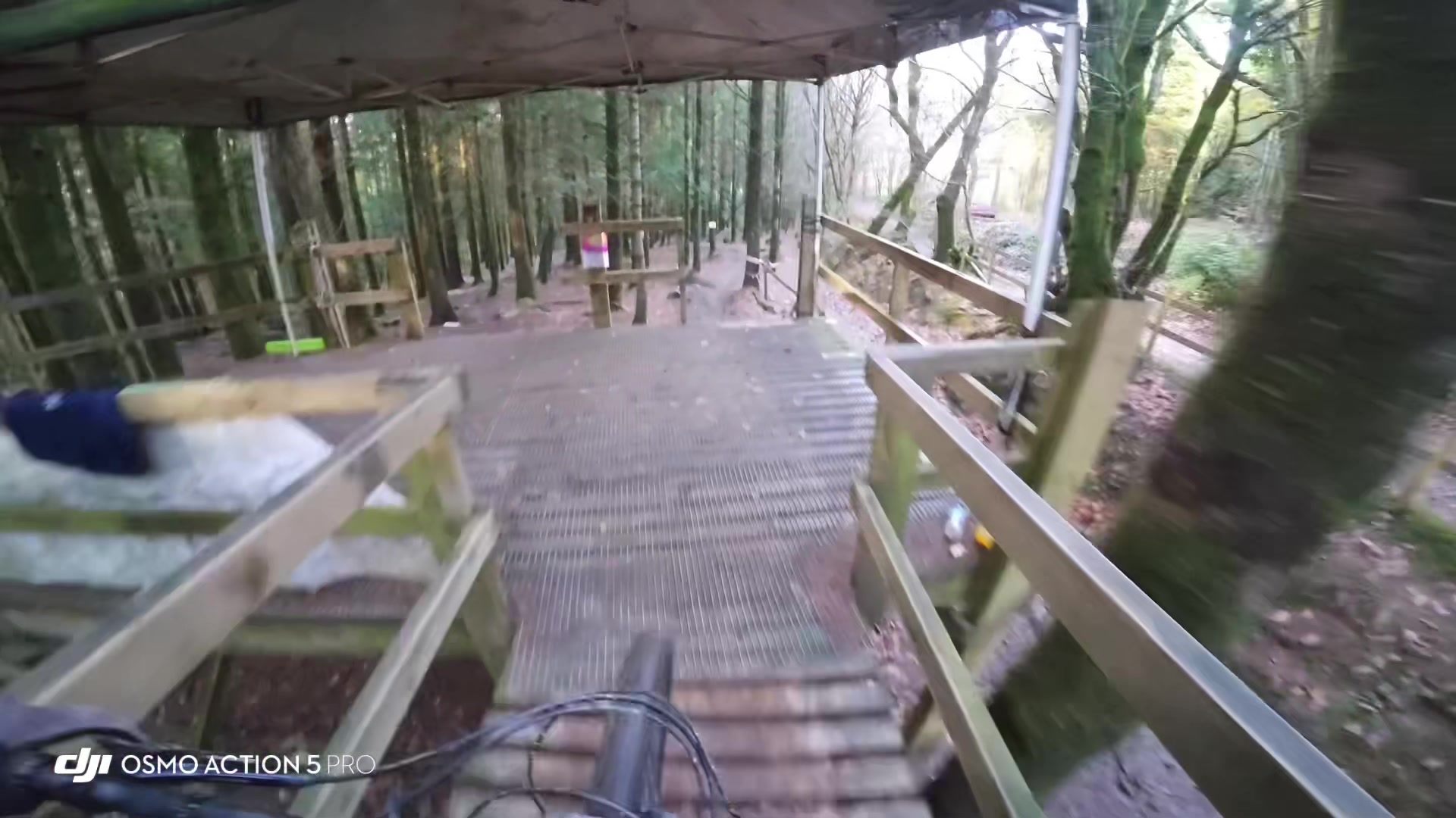 @tobyy🌲