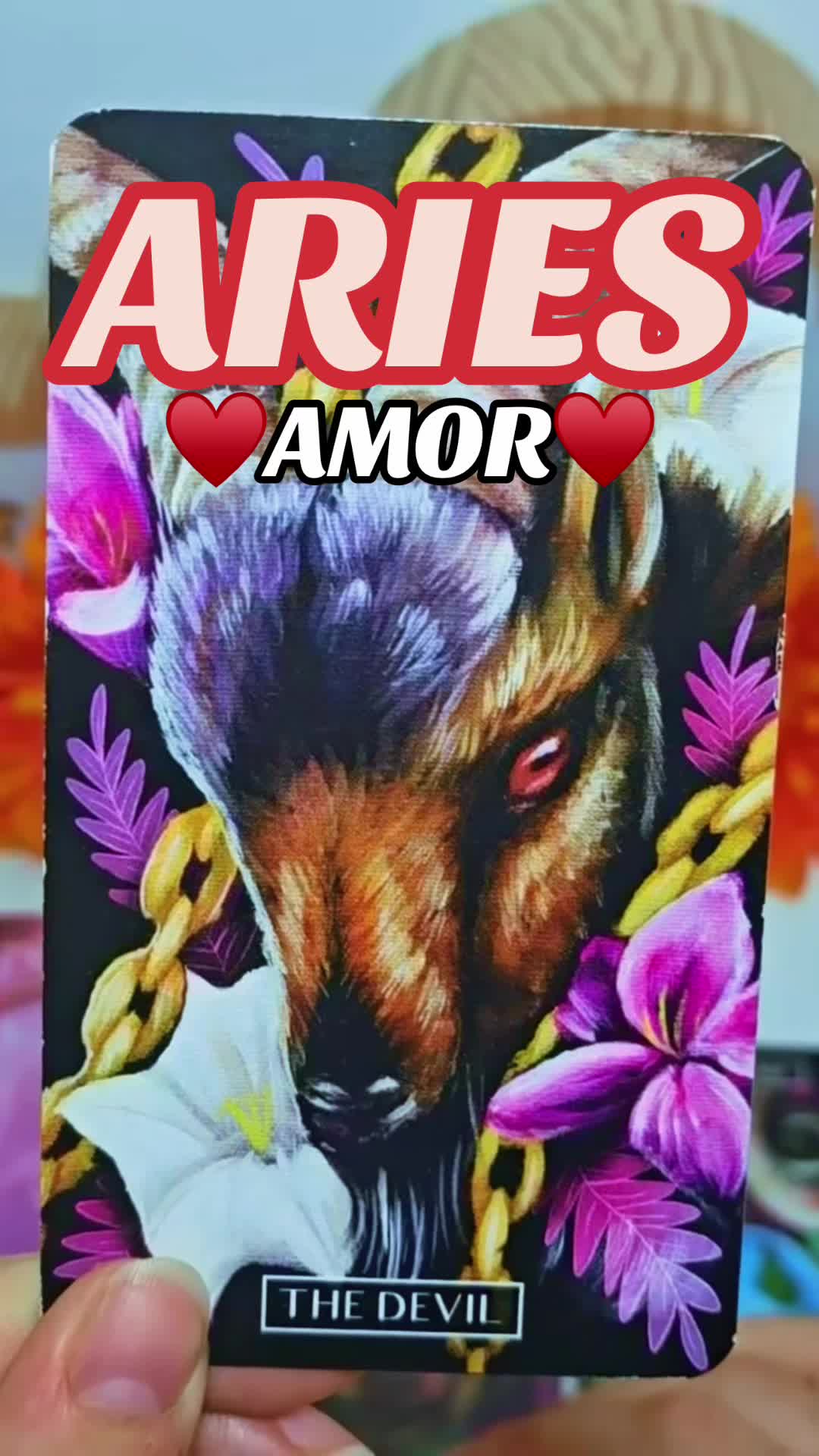 @Daniela Tarot