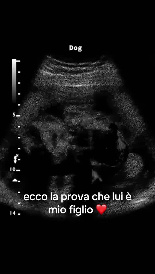 @Francesca Serra