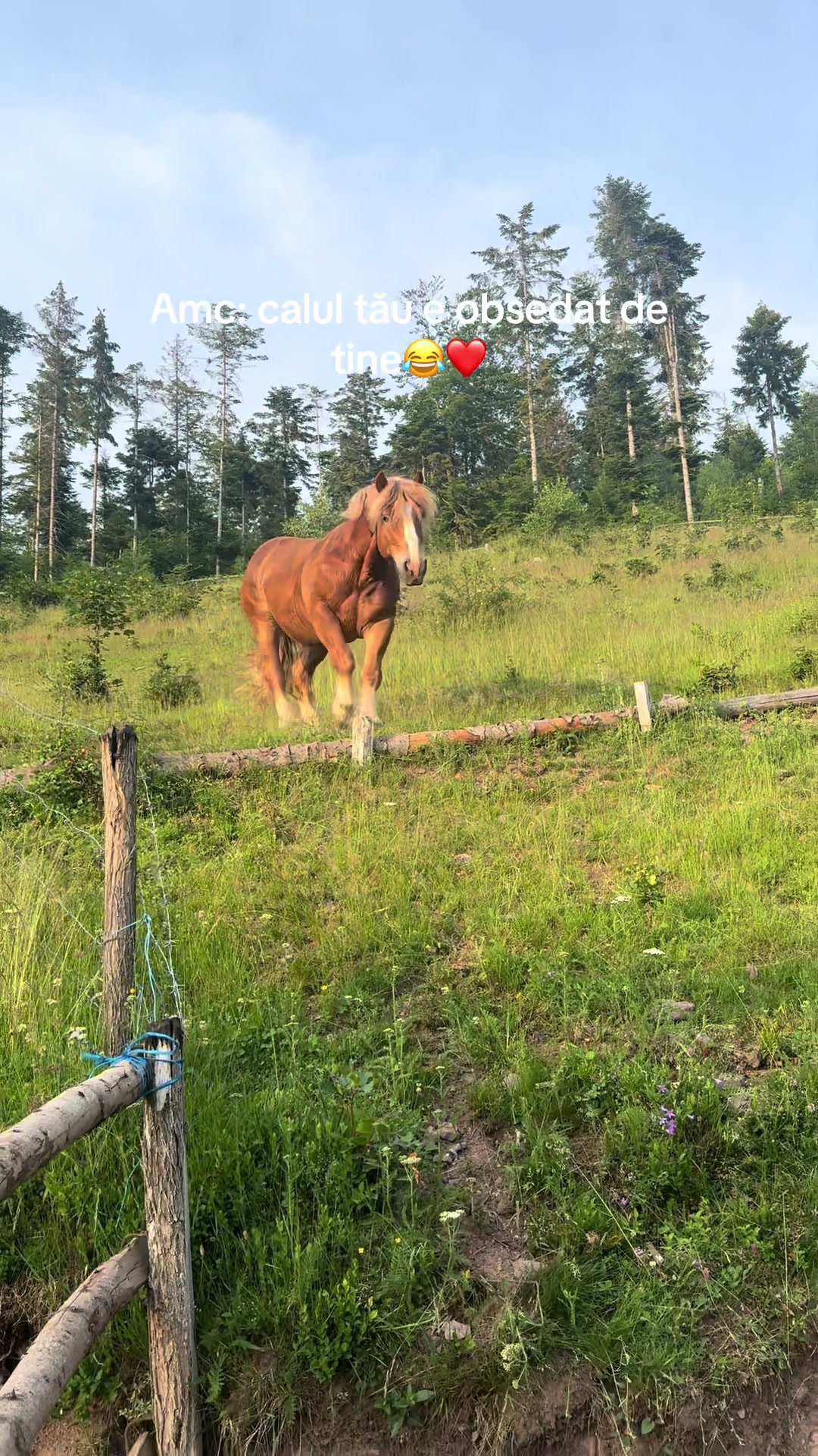 @Andrada❤️💫