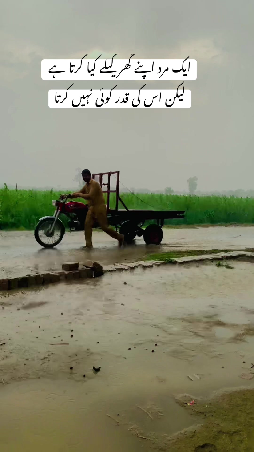 @پنجاب زادہ🌿