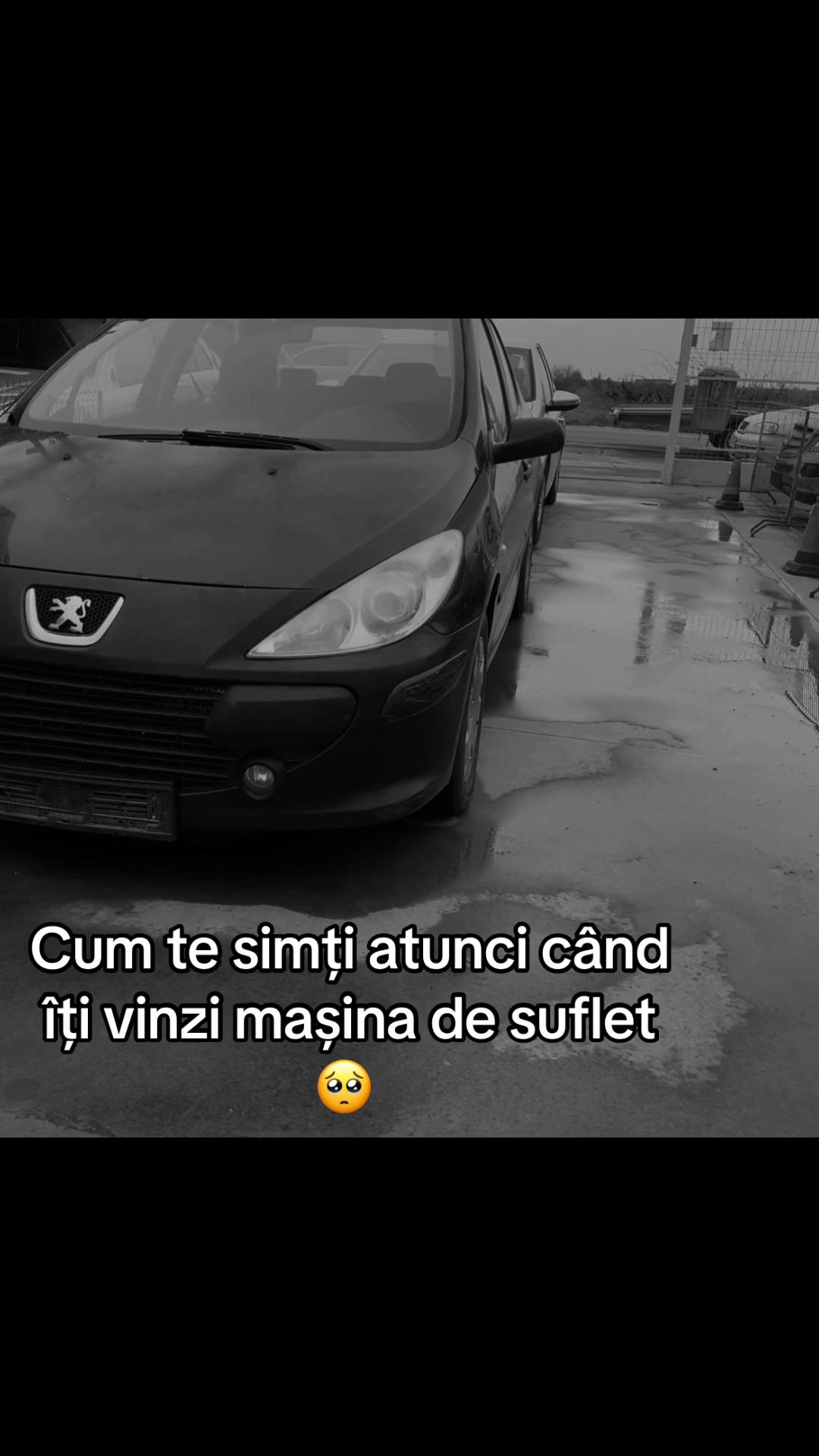 @Stefanya Coman