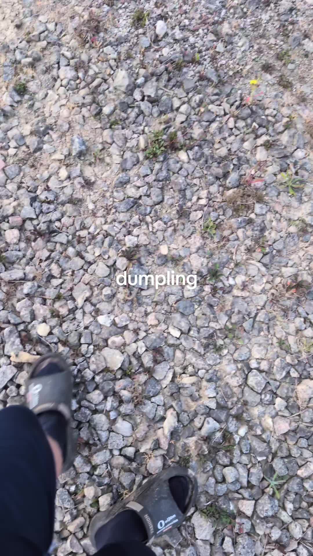 @vanlife
