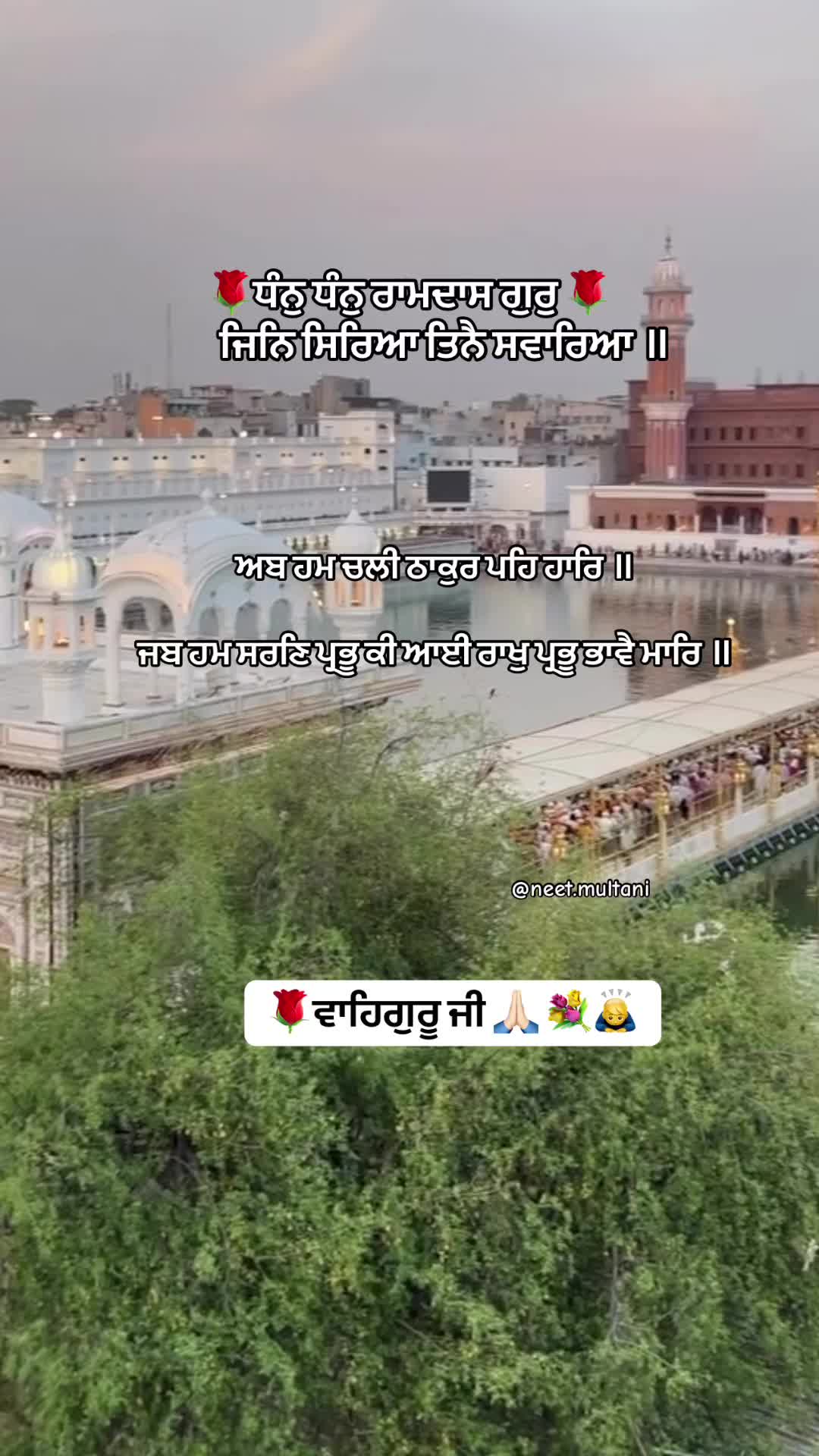 @neet.multani