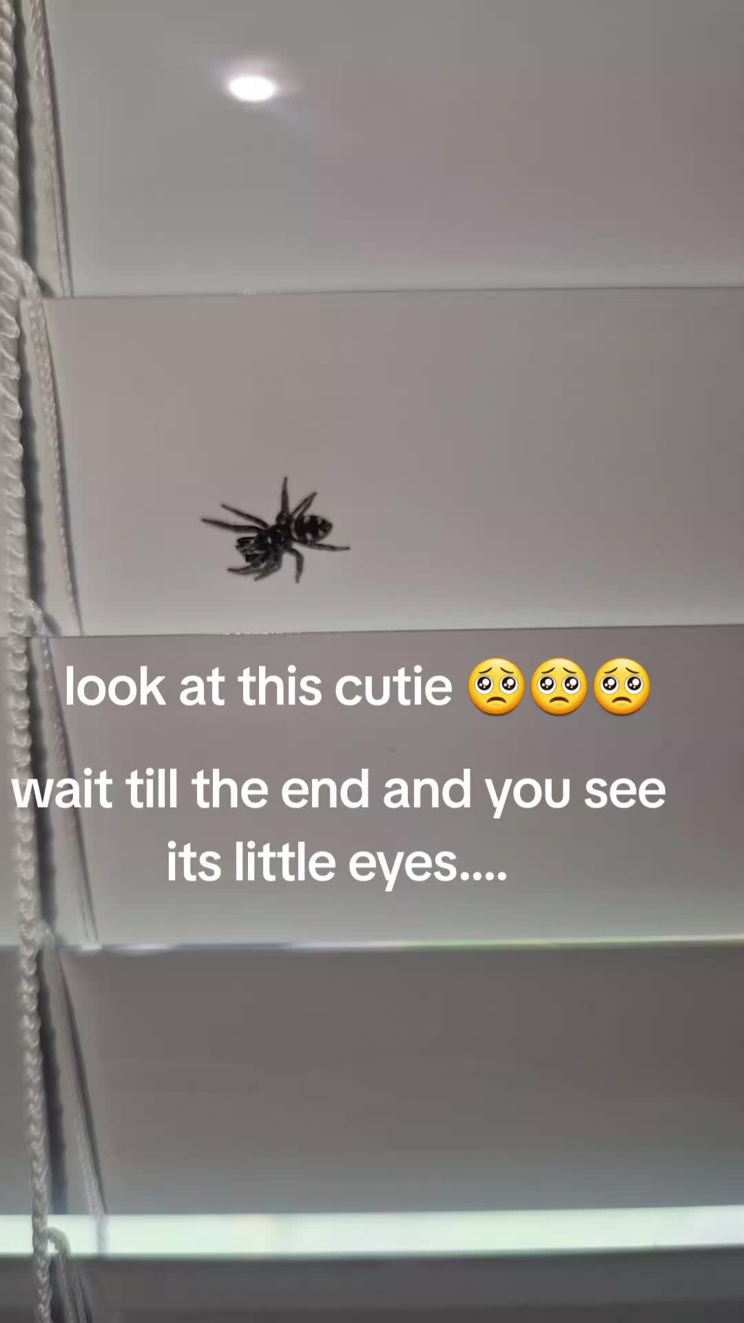 @MeganLauriceMcVeyx