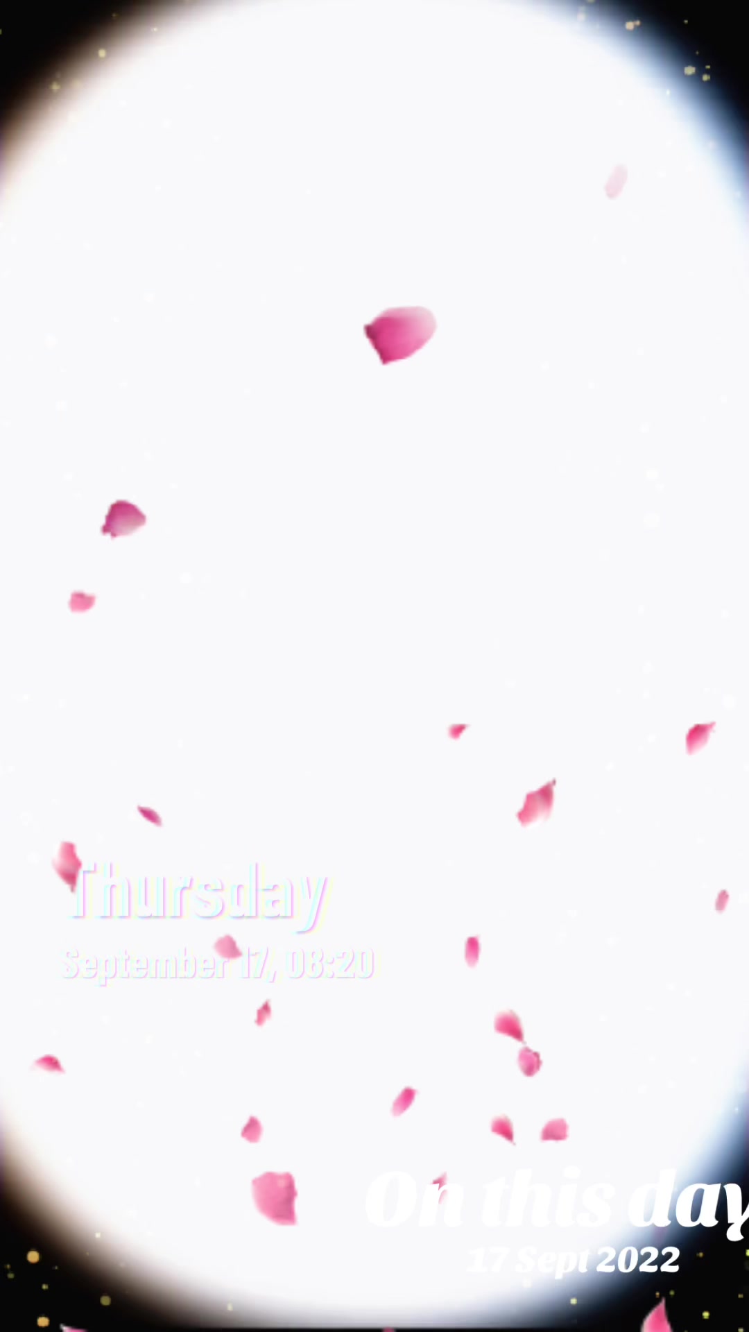 @Jaimatadi ๐๐ป๐ฎ๐ณ๐ฌ๐ง