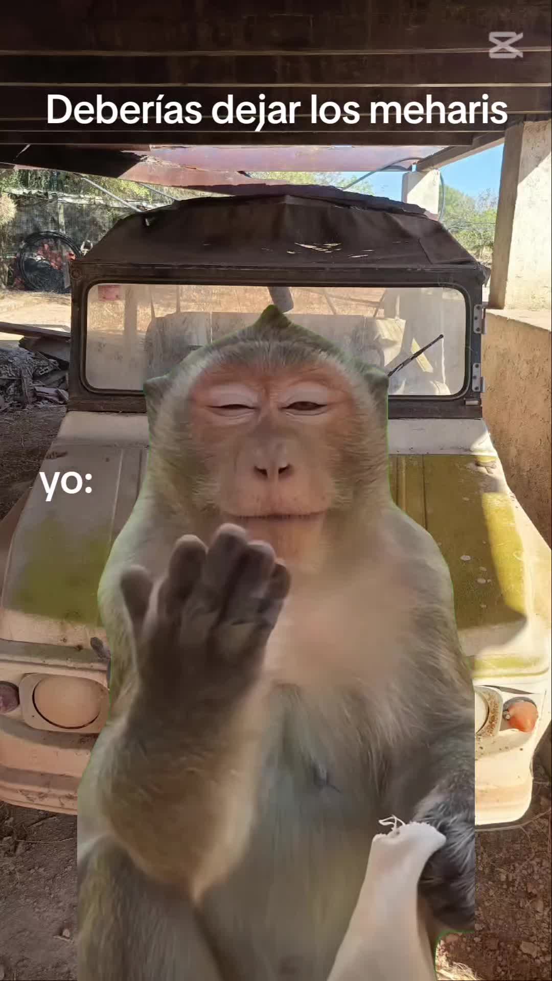 @Ruben Salvador