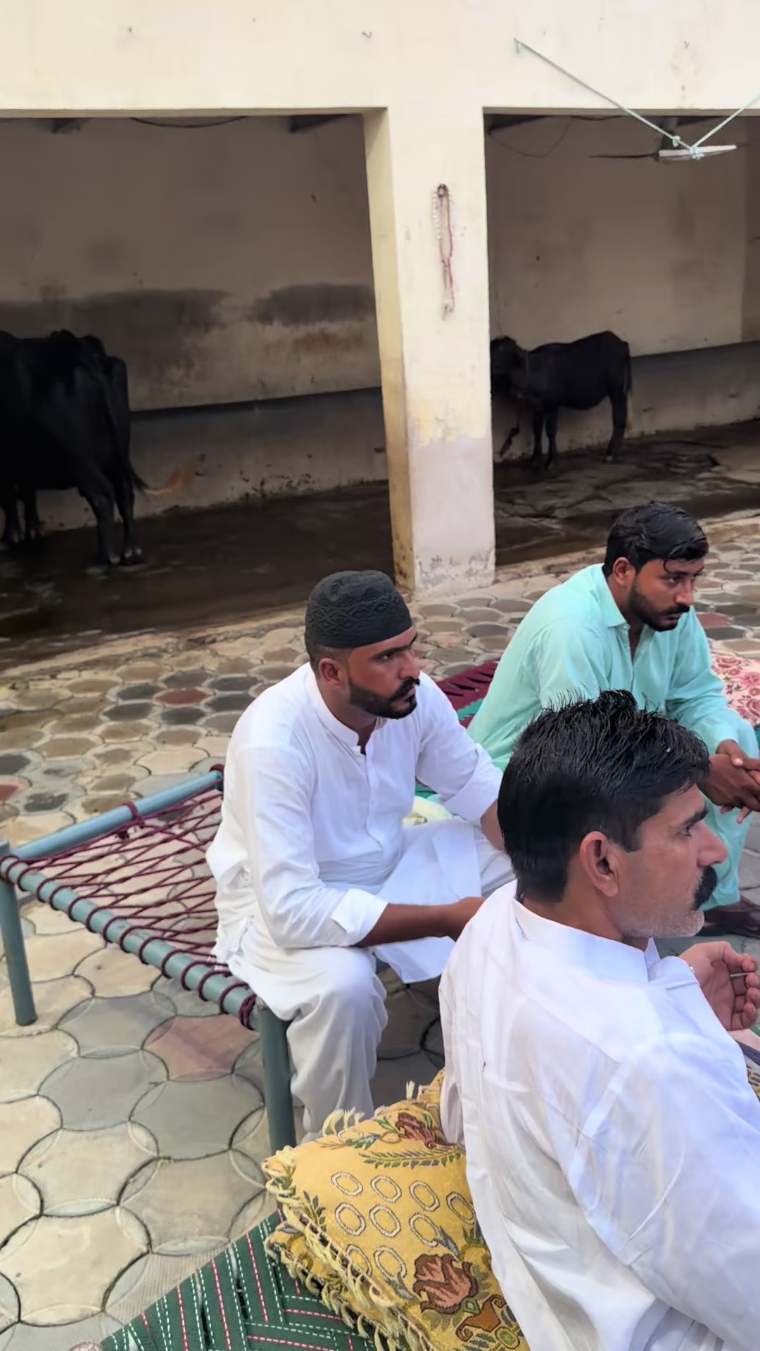 @Khalil Gujjar nafrian