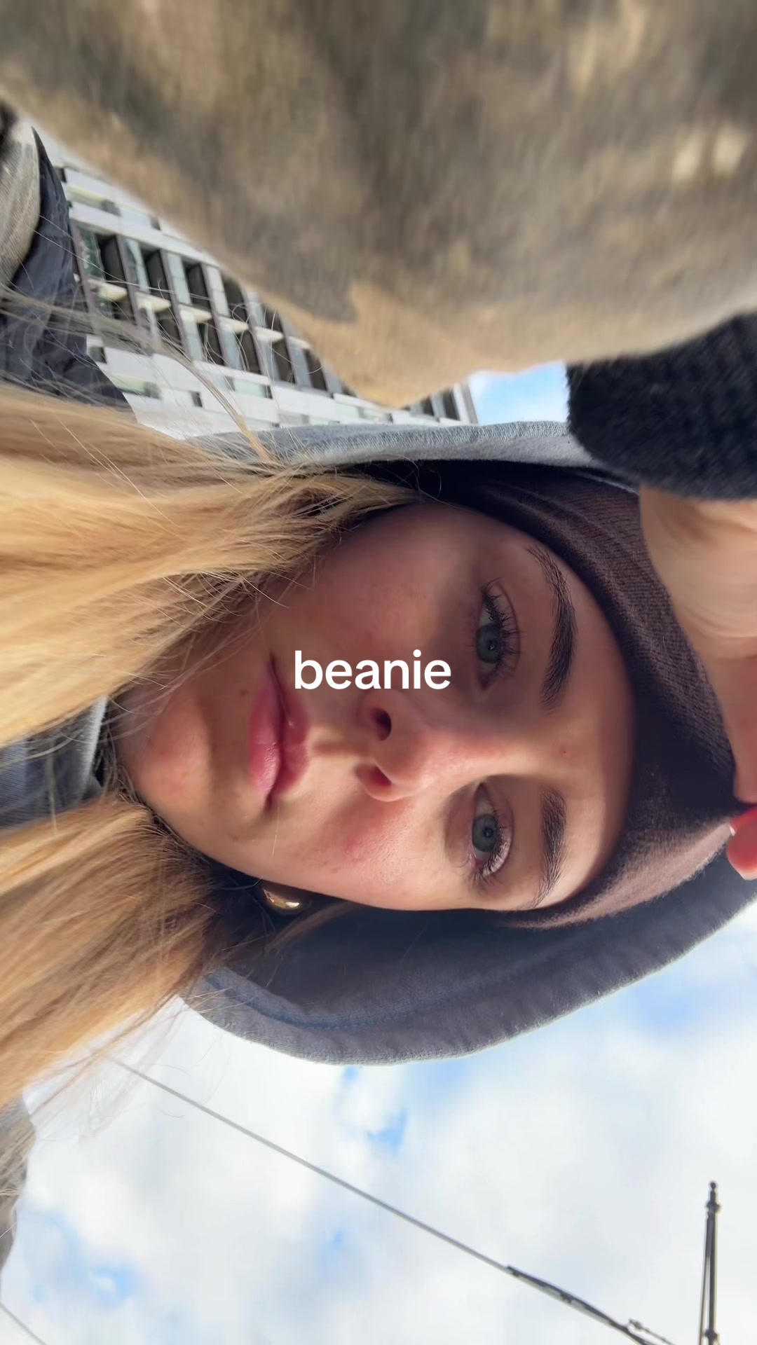 @lex