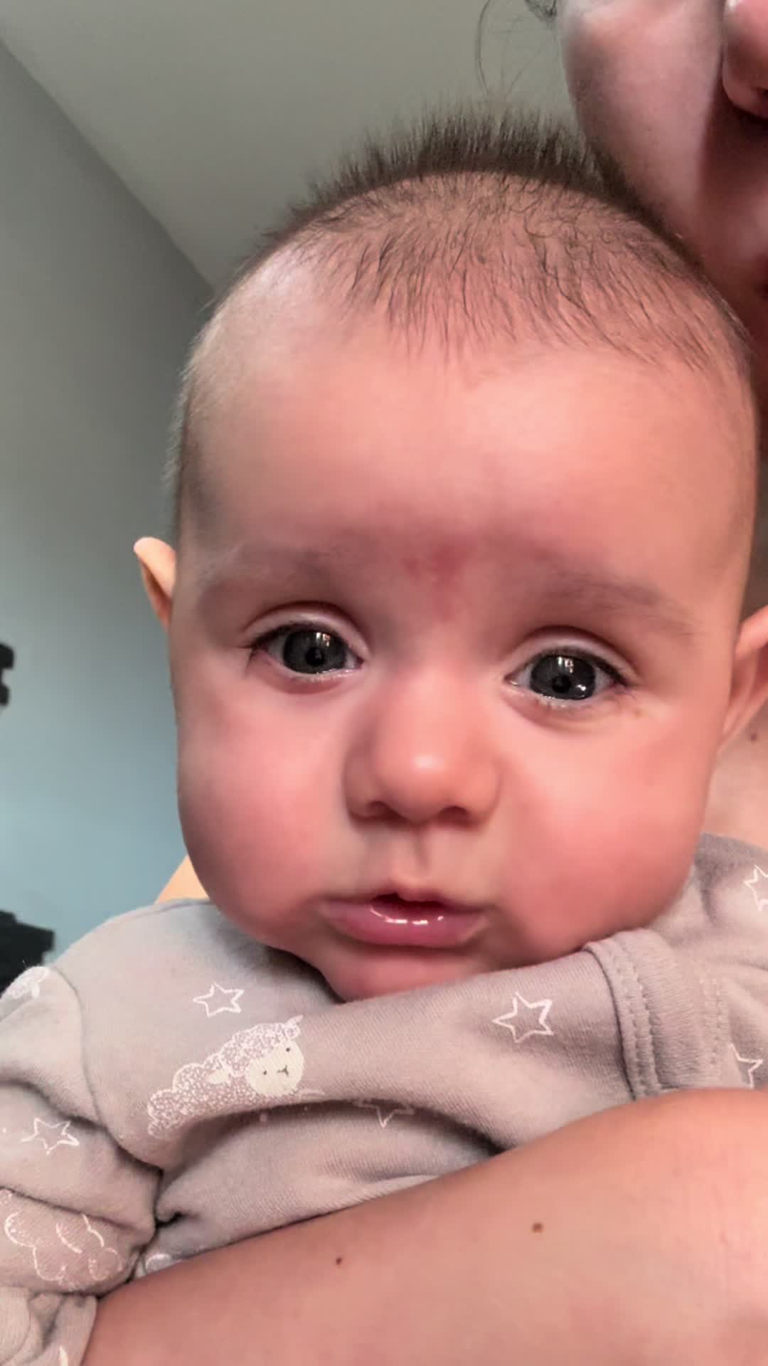 @nikol.dimittrovaa