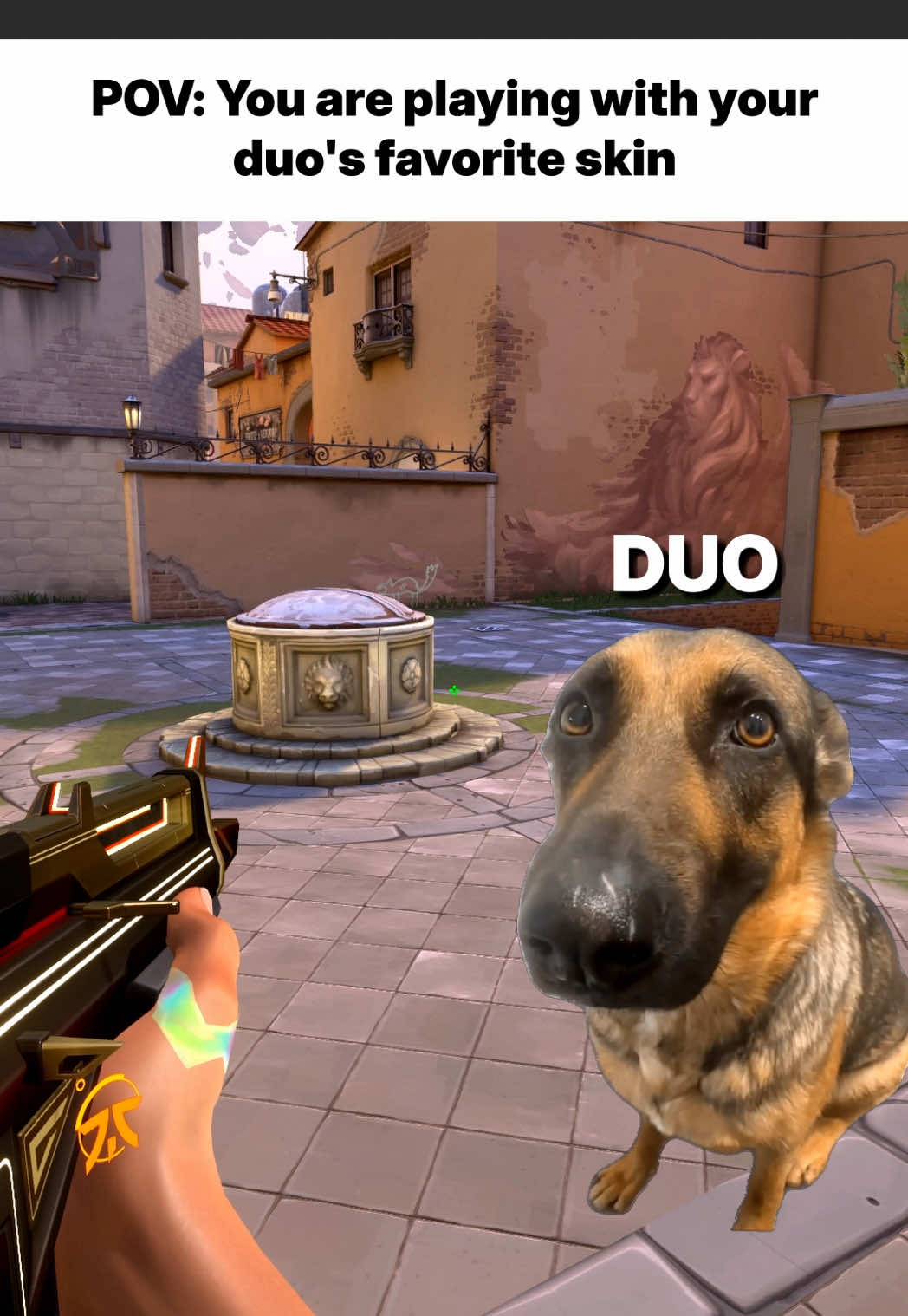 @FNATIC