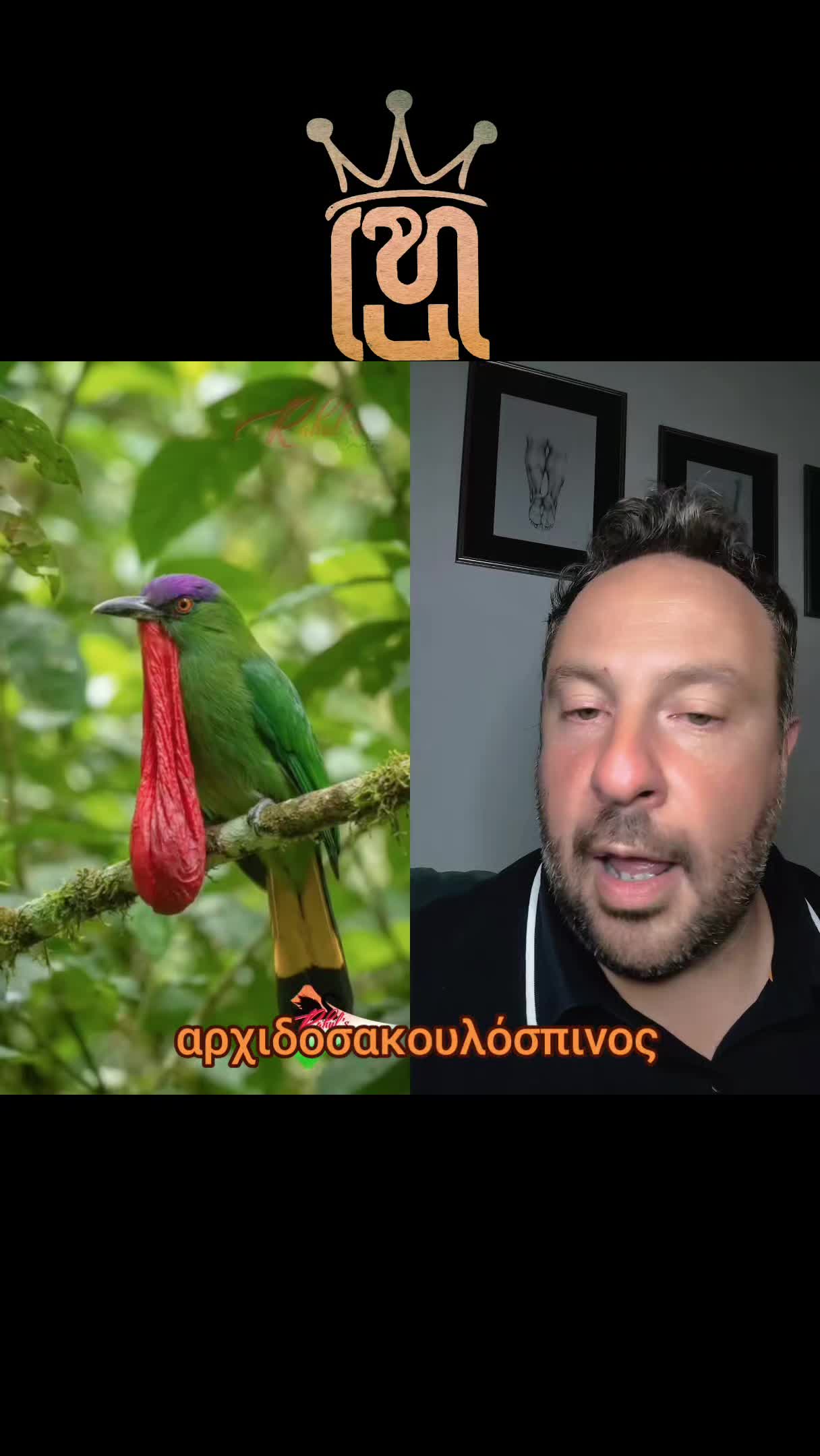 @hadjieleftheriadis