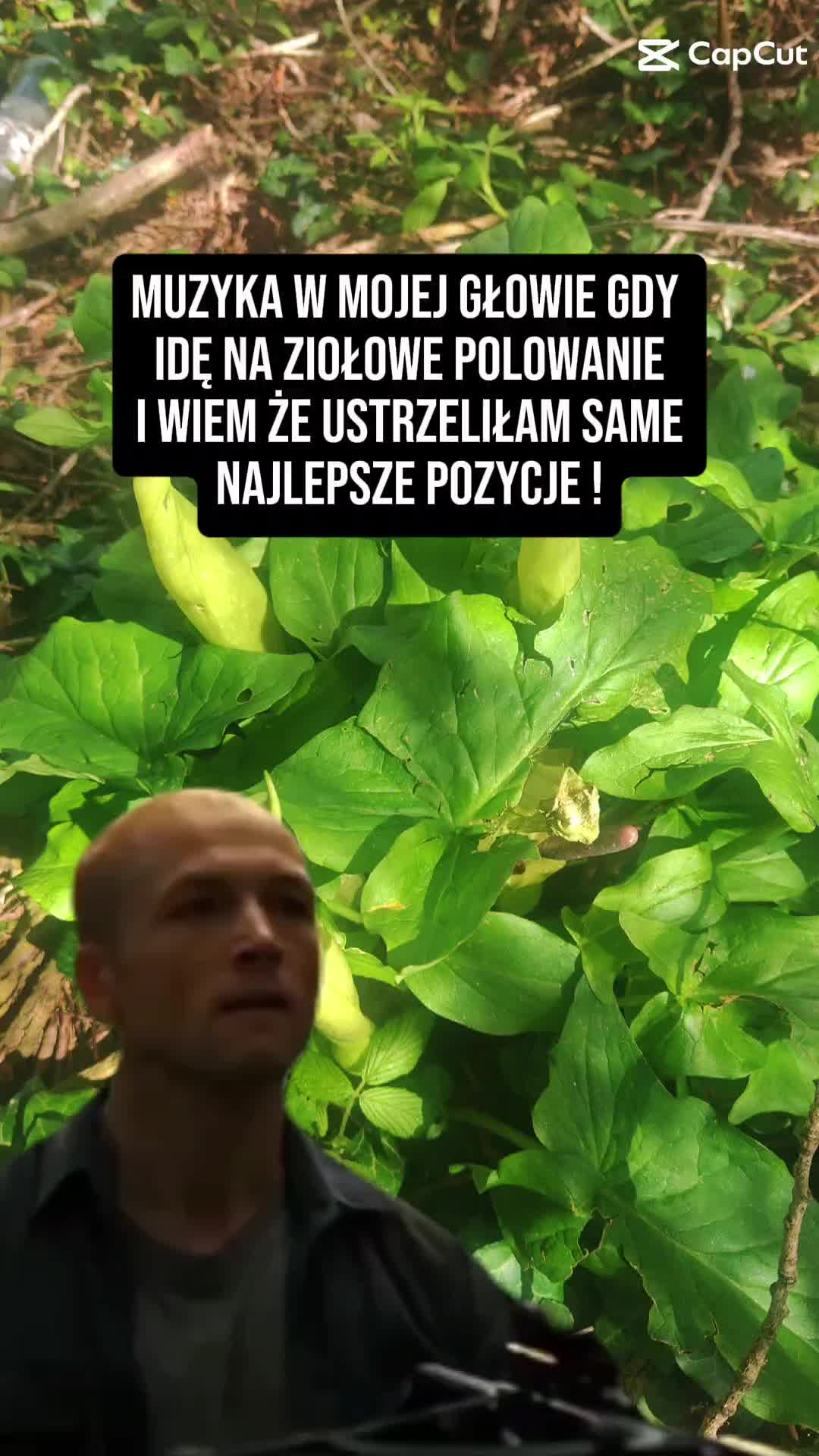 @Kempi D&ouml;kk&agrave;lfar