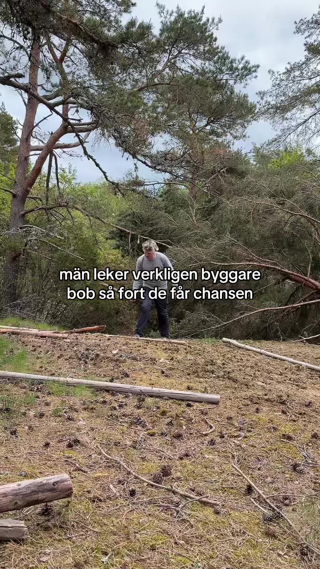 @aurora fijołek
