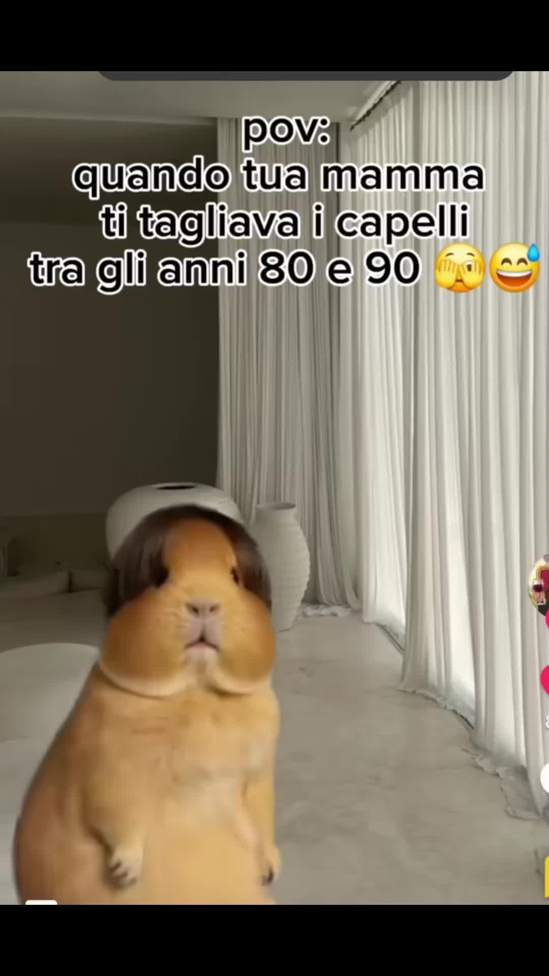 @Barbara Bennat