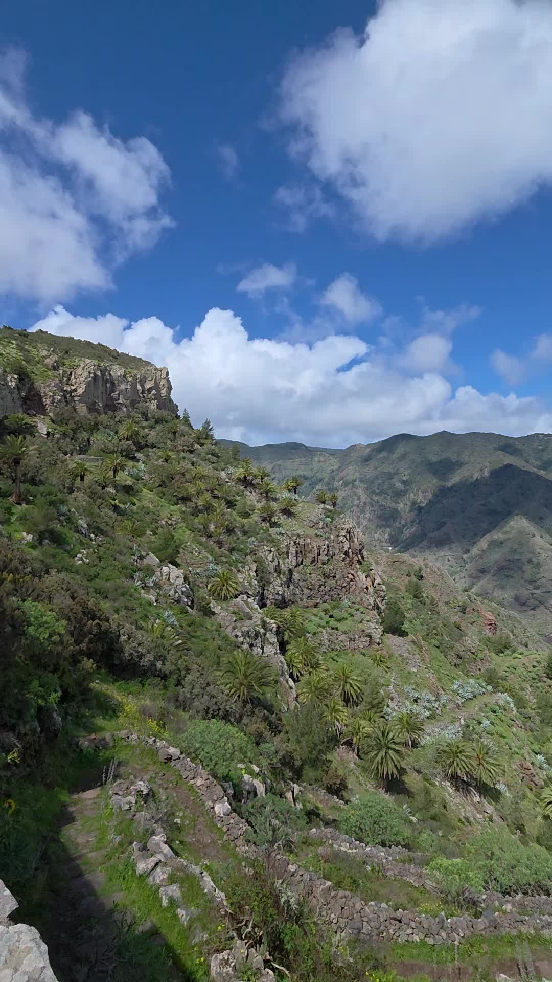 @NeetJD