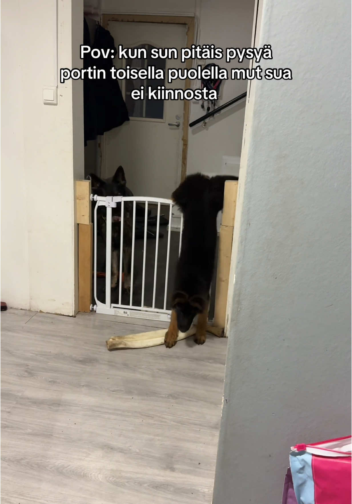 @Jankkux