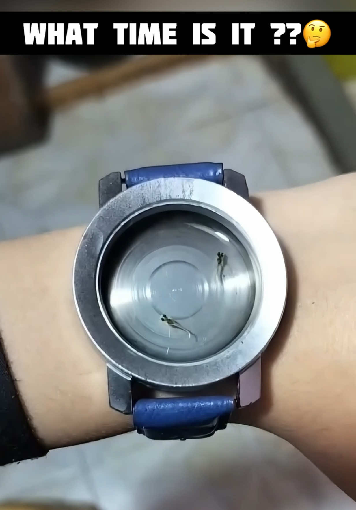 @watch_time_traveler