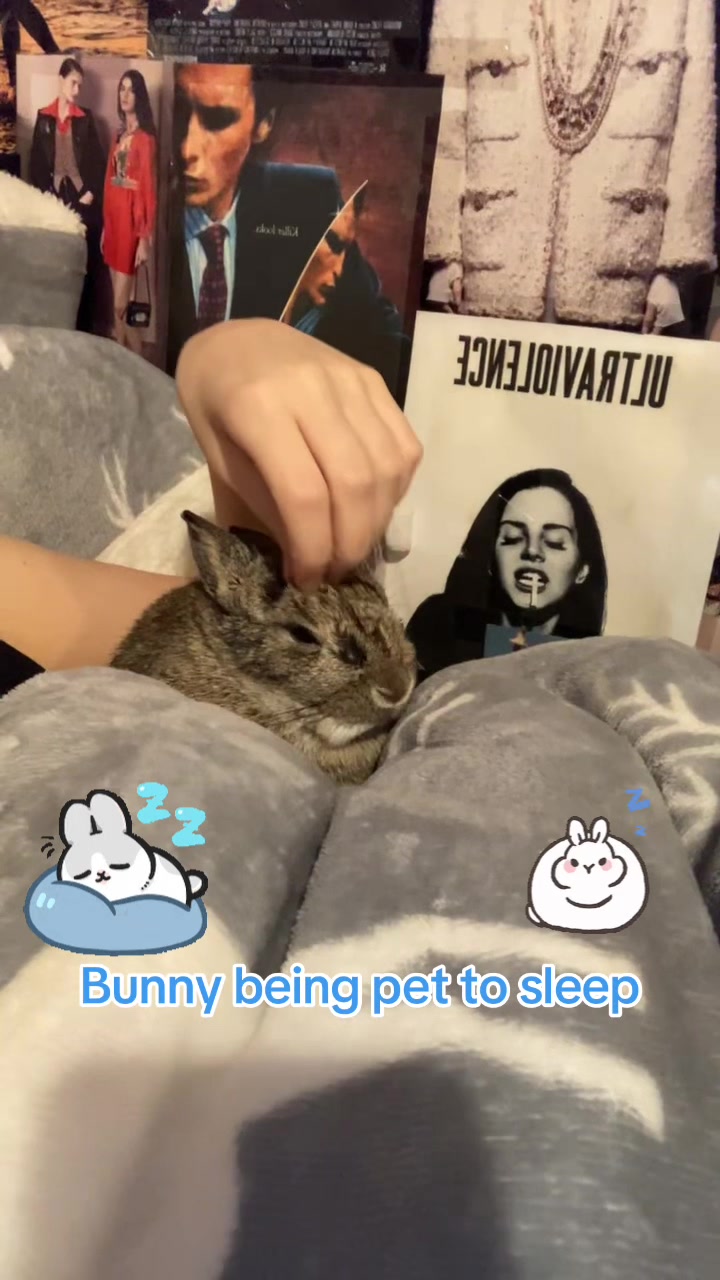 @Olive and Clem 🐰🐰