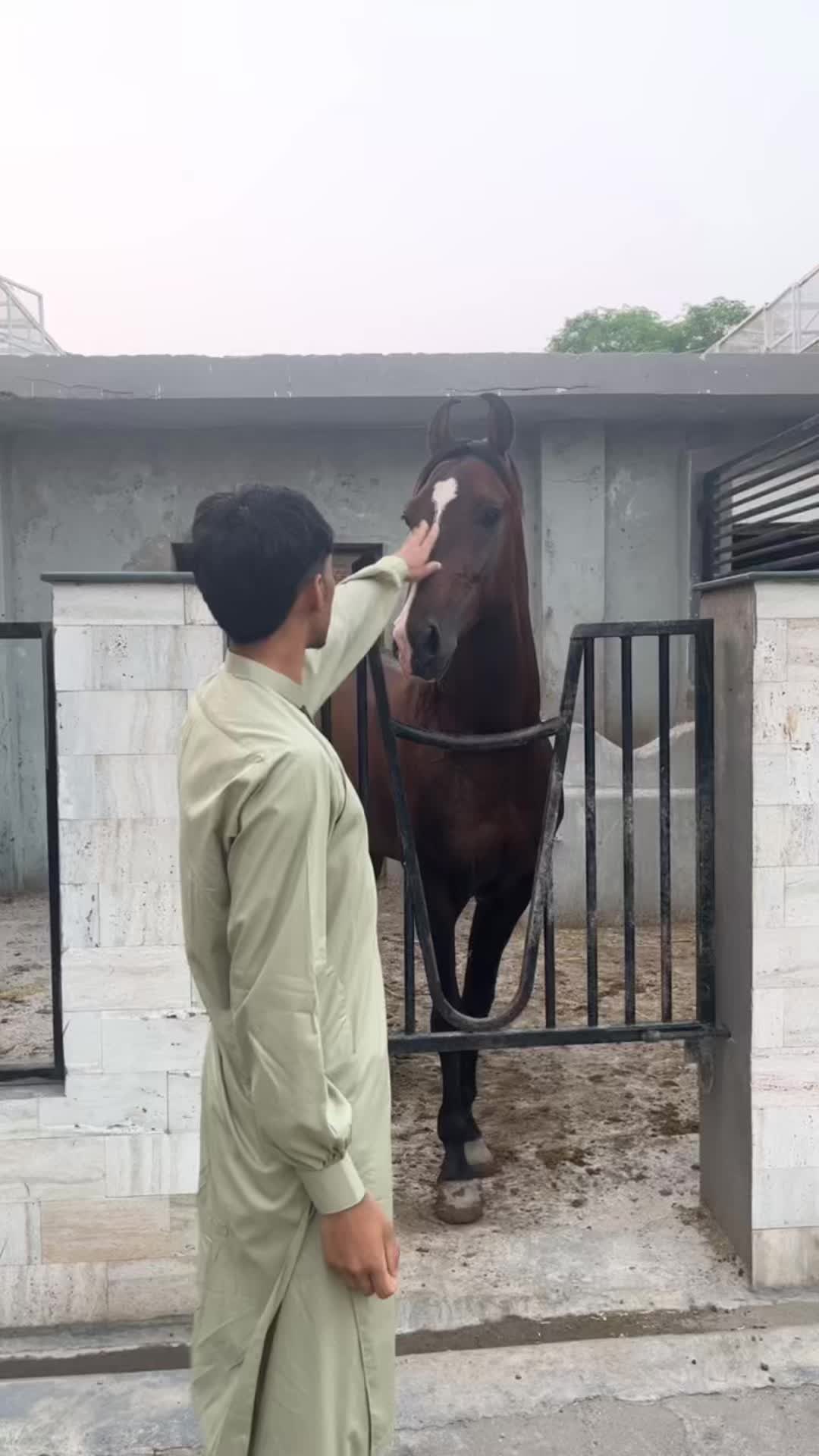 @Abdul Rehman