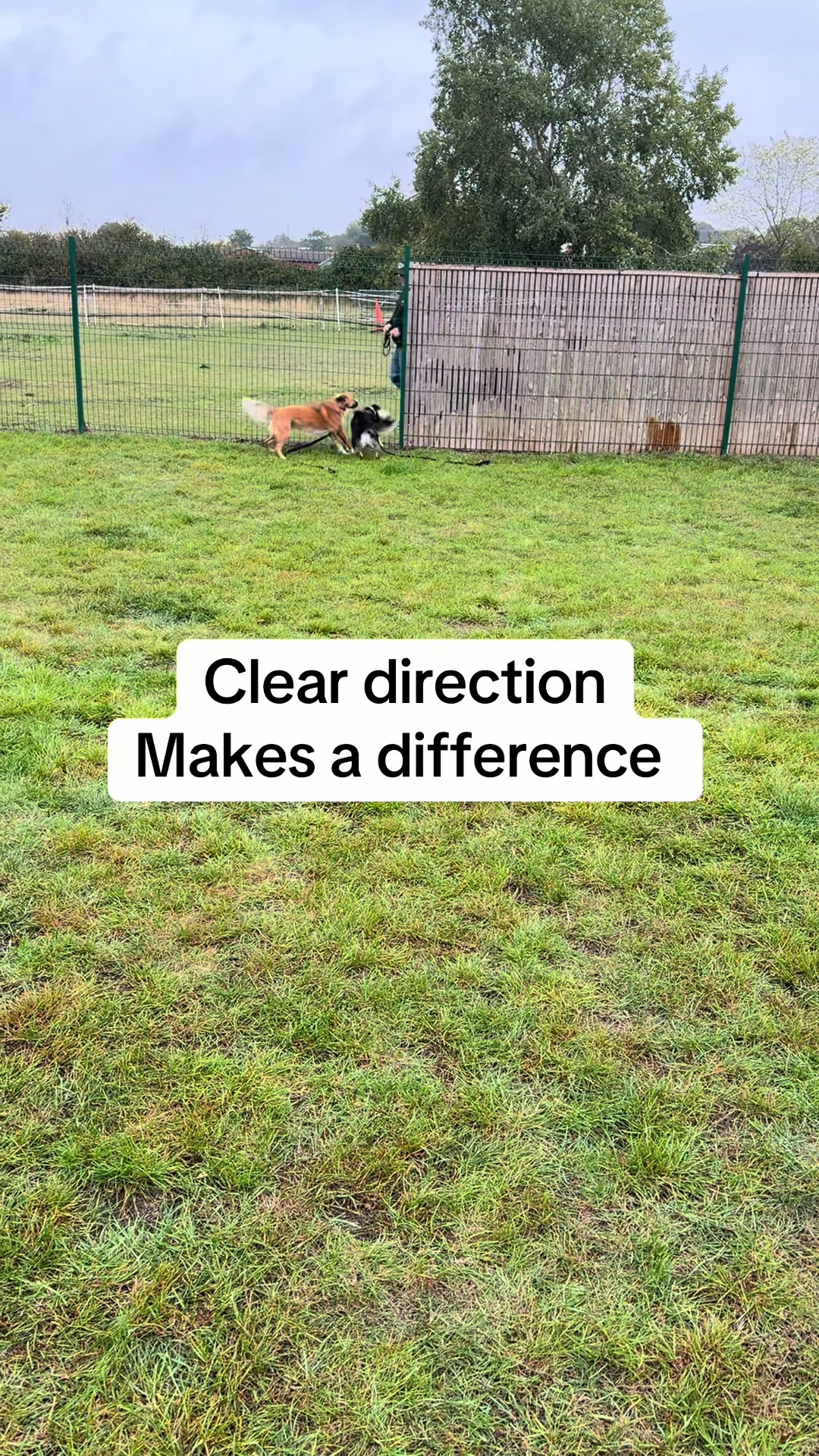 @SouthendDogTraining