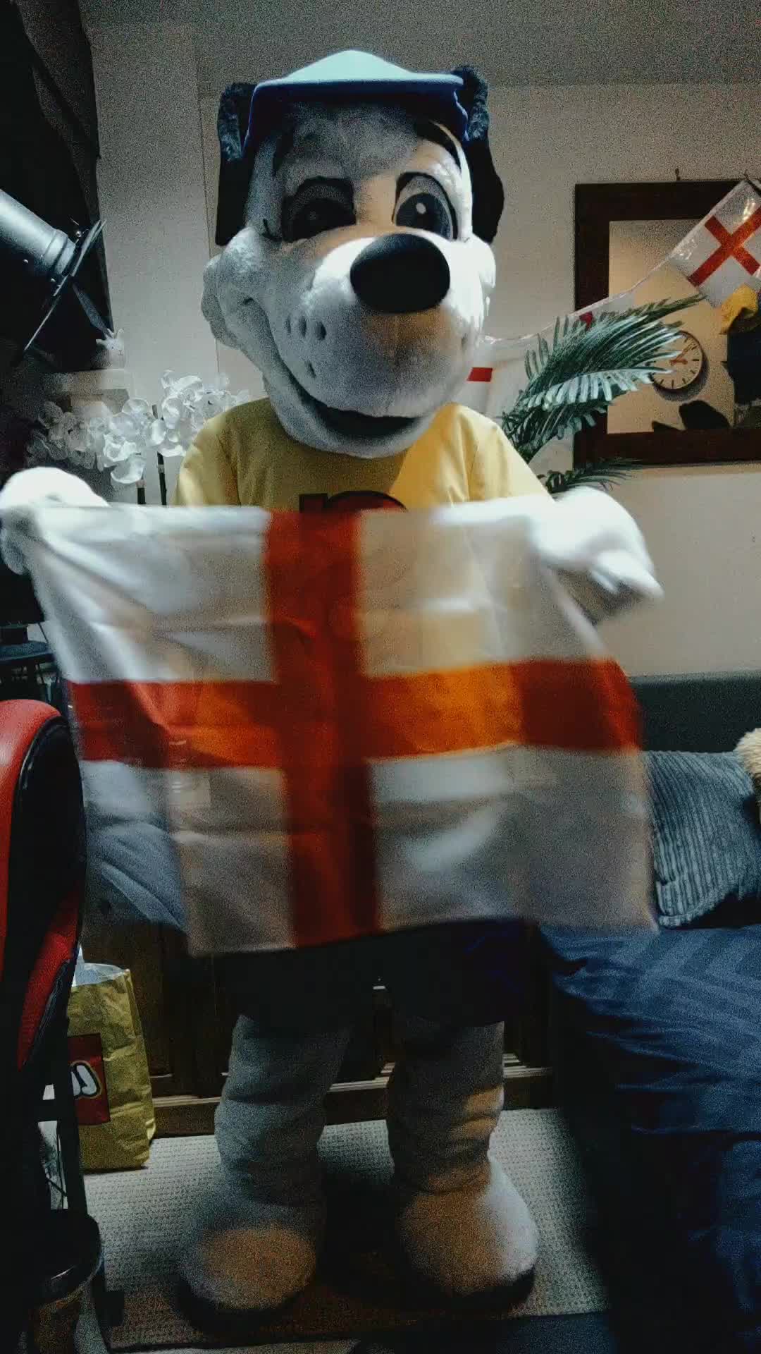 @Mascot Dan