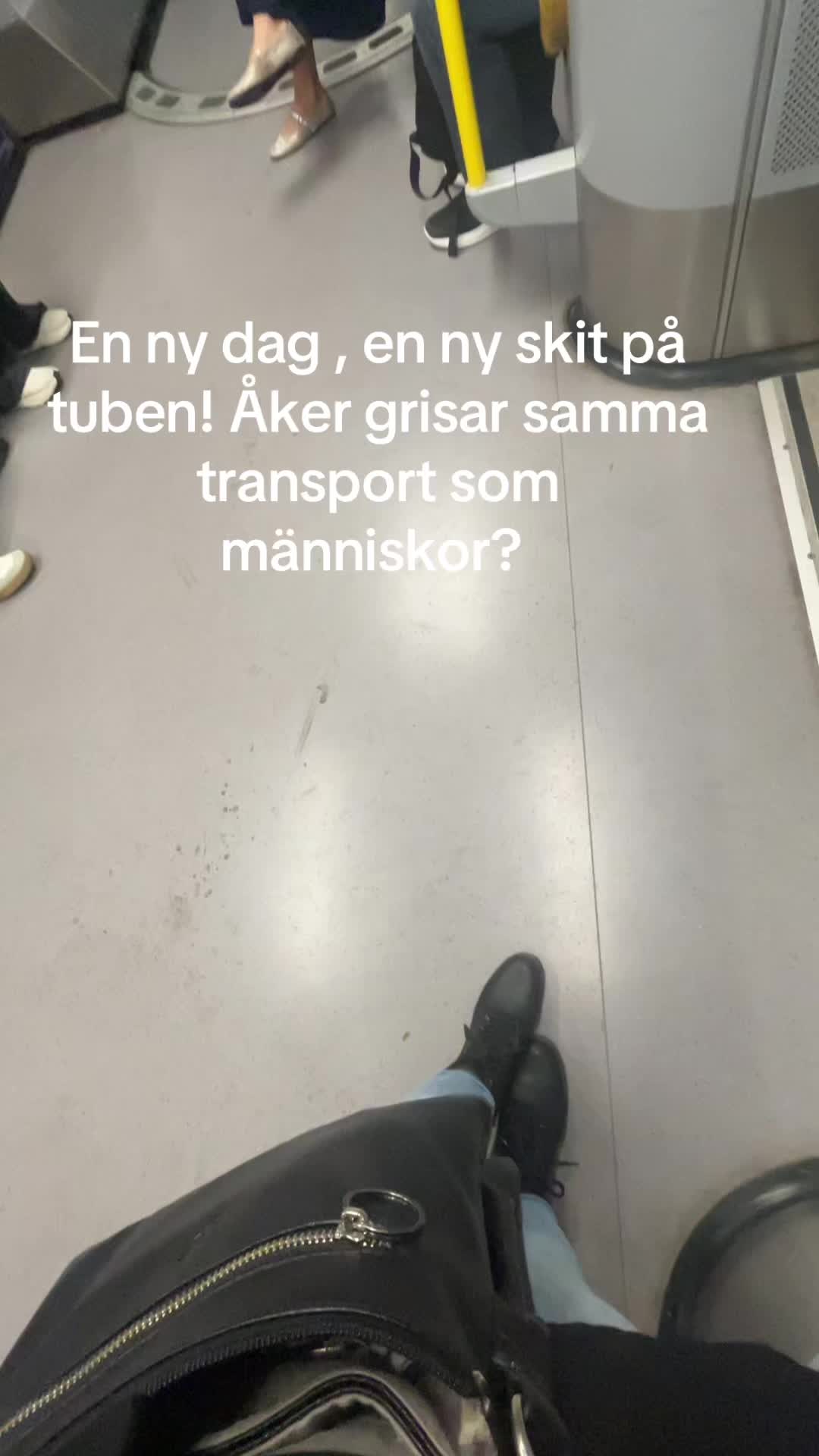 @Irinka
