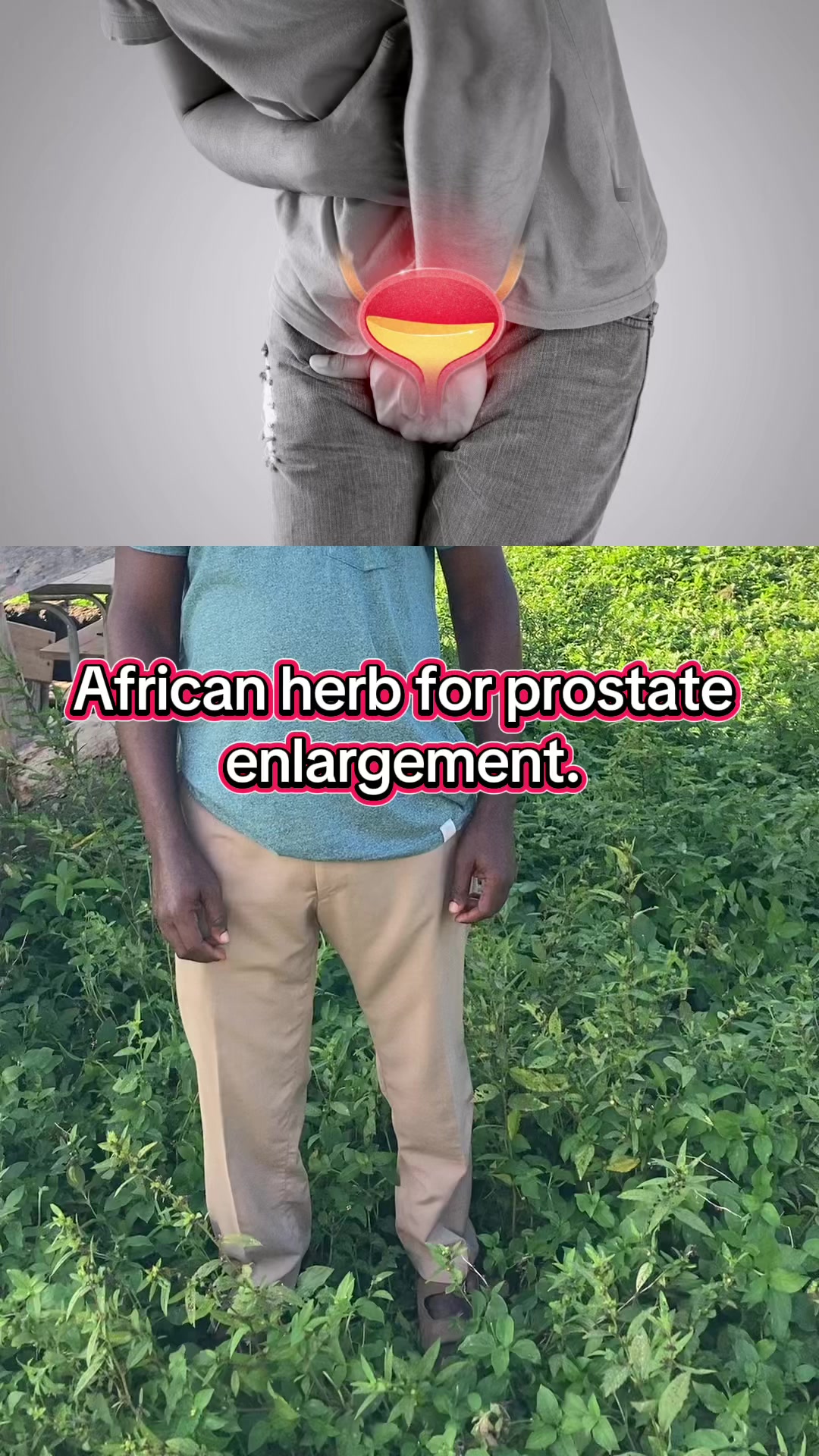 @medical_researcher