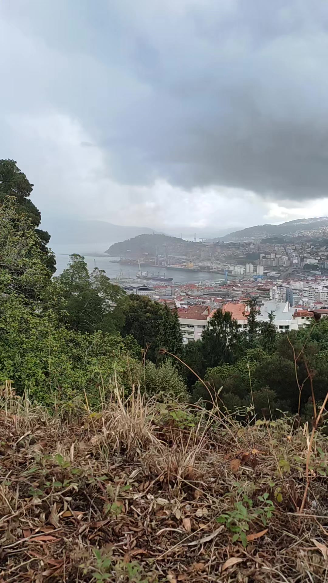 @El Vigionauta