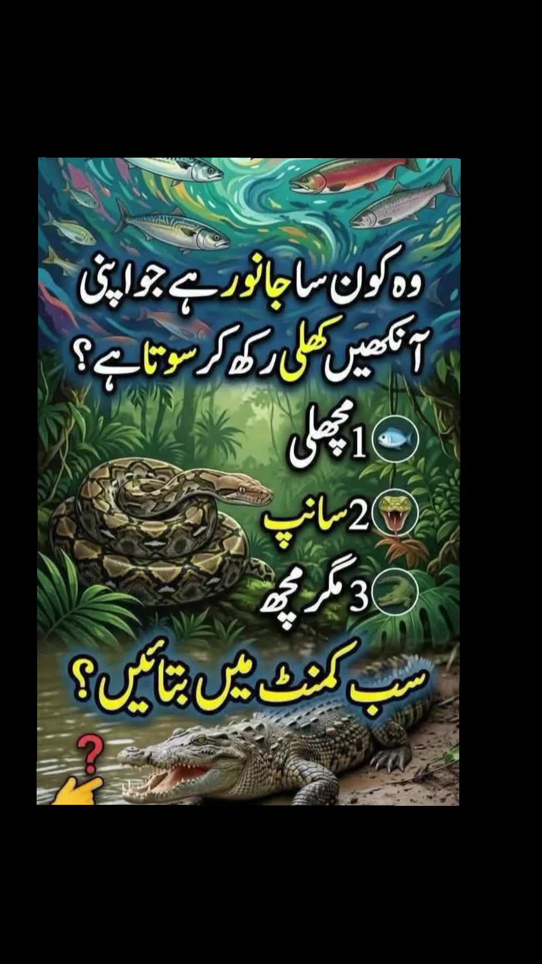 @🌹MeEm jEe SHeIkH میم جی 🌹Uk