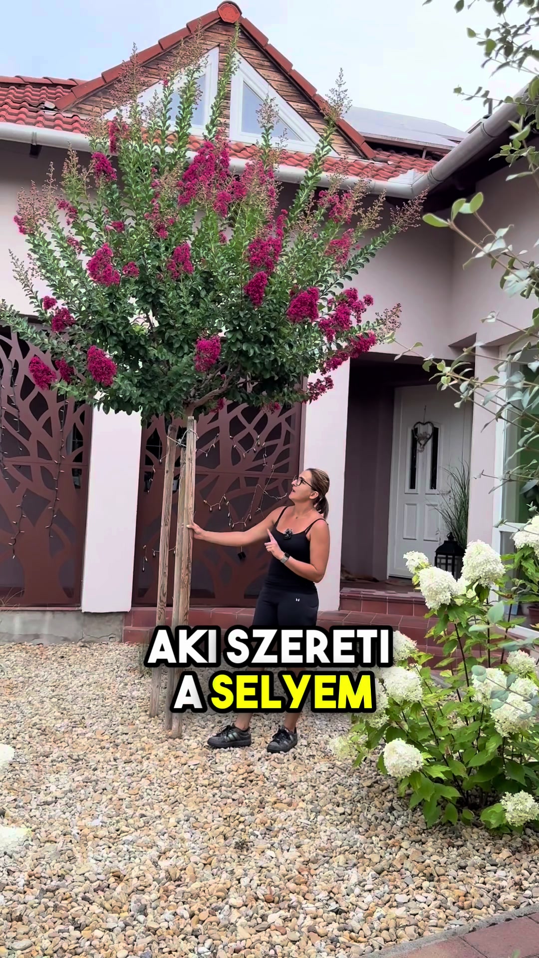 @J&aacute;mbor Fanni
