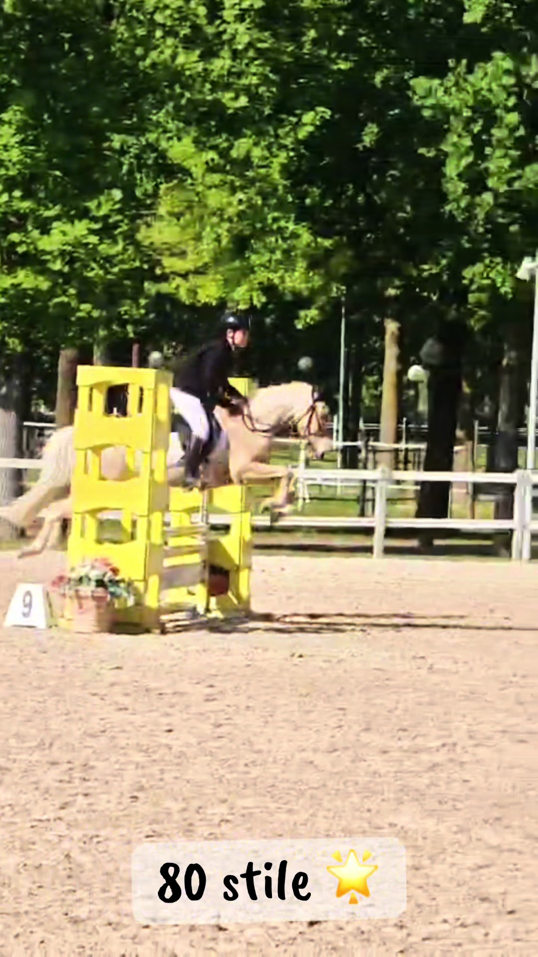 @м&iota;&alpha; 🐴💛