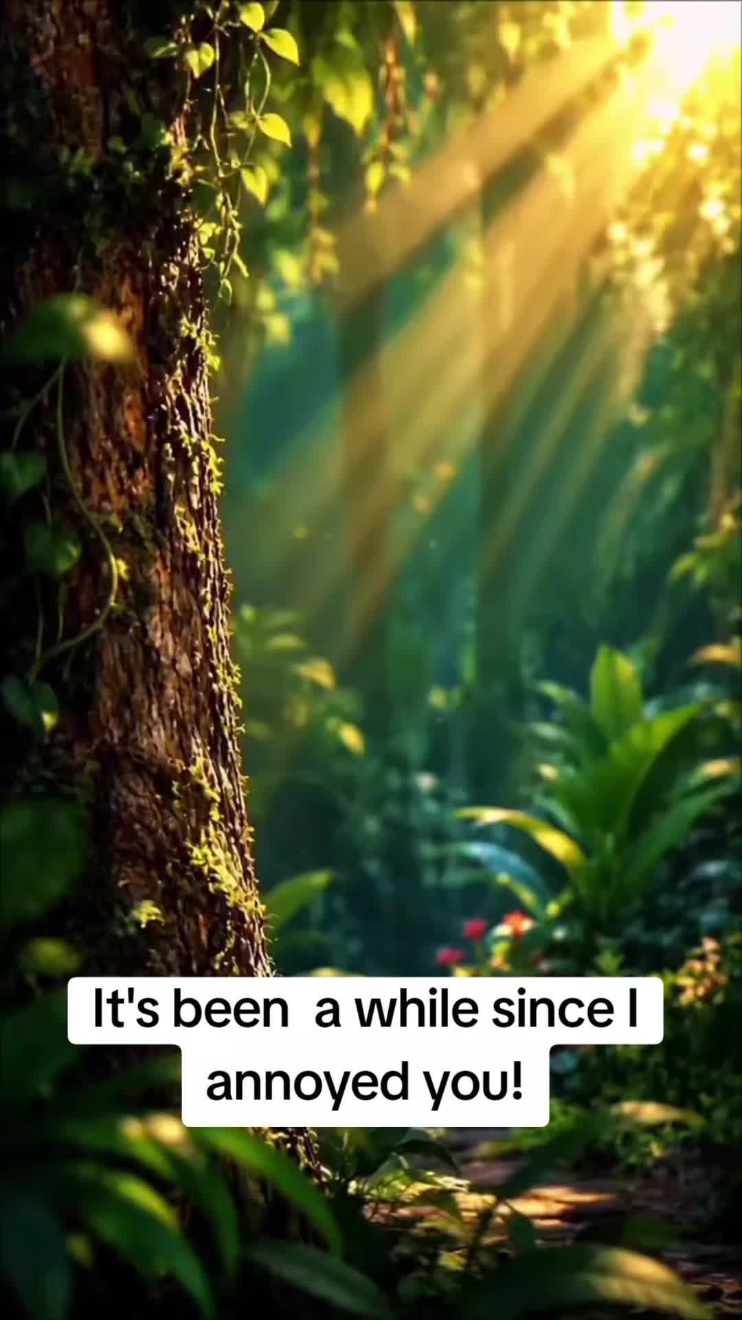 @ukmallu