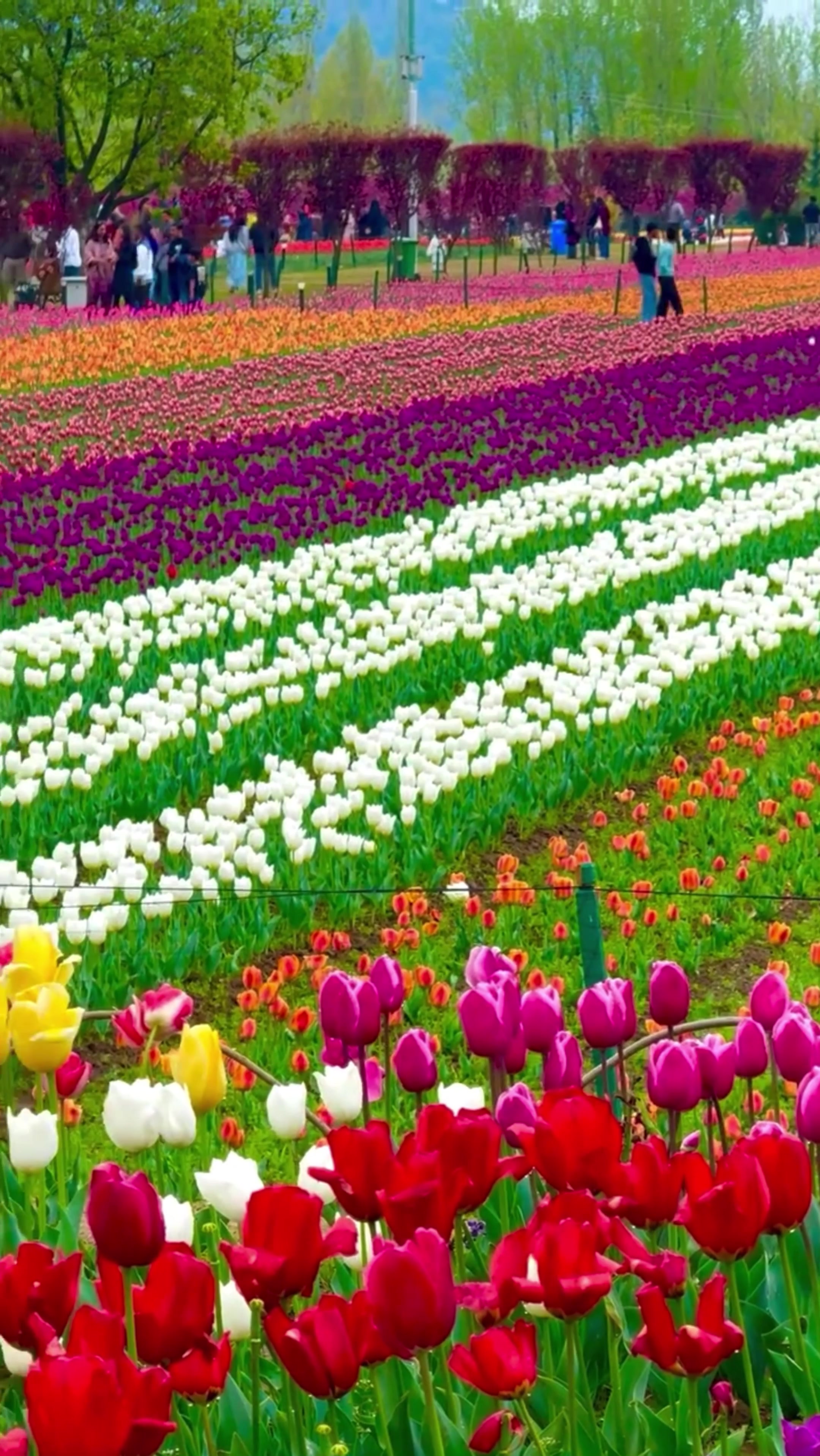 @World 🌍 beauty