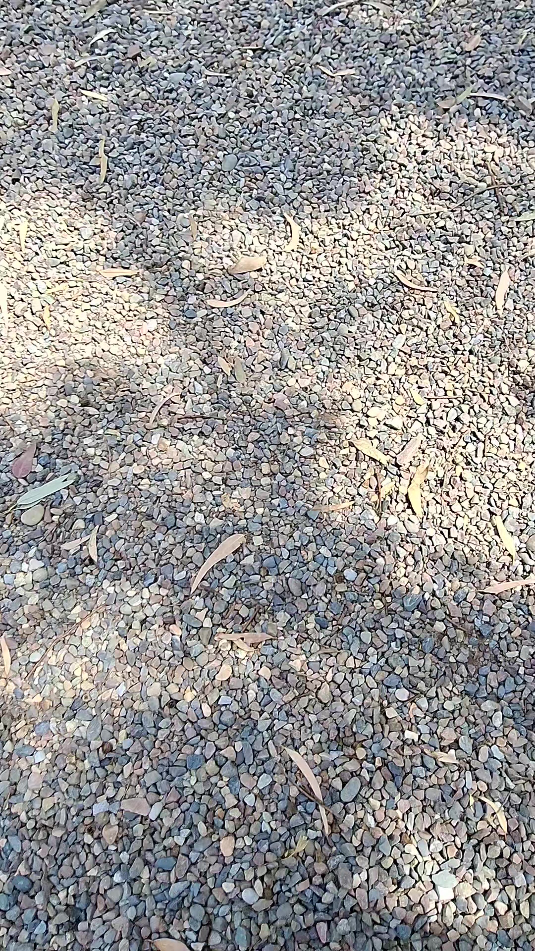 @Rayzi Travels and Days out
