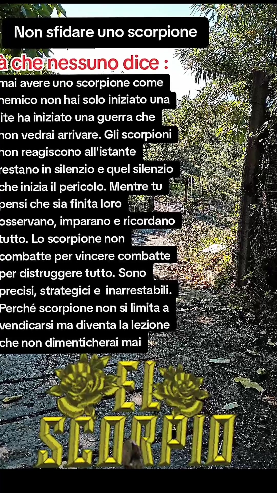 @Vita Maria