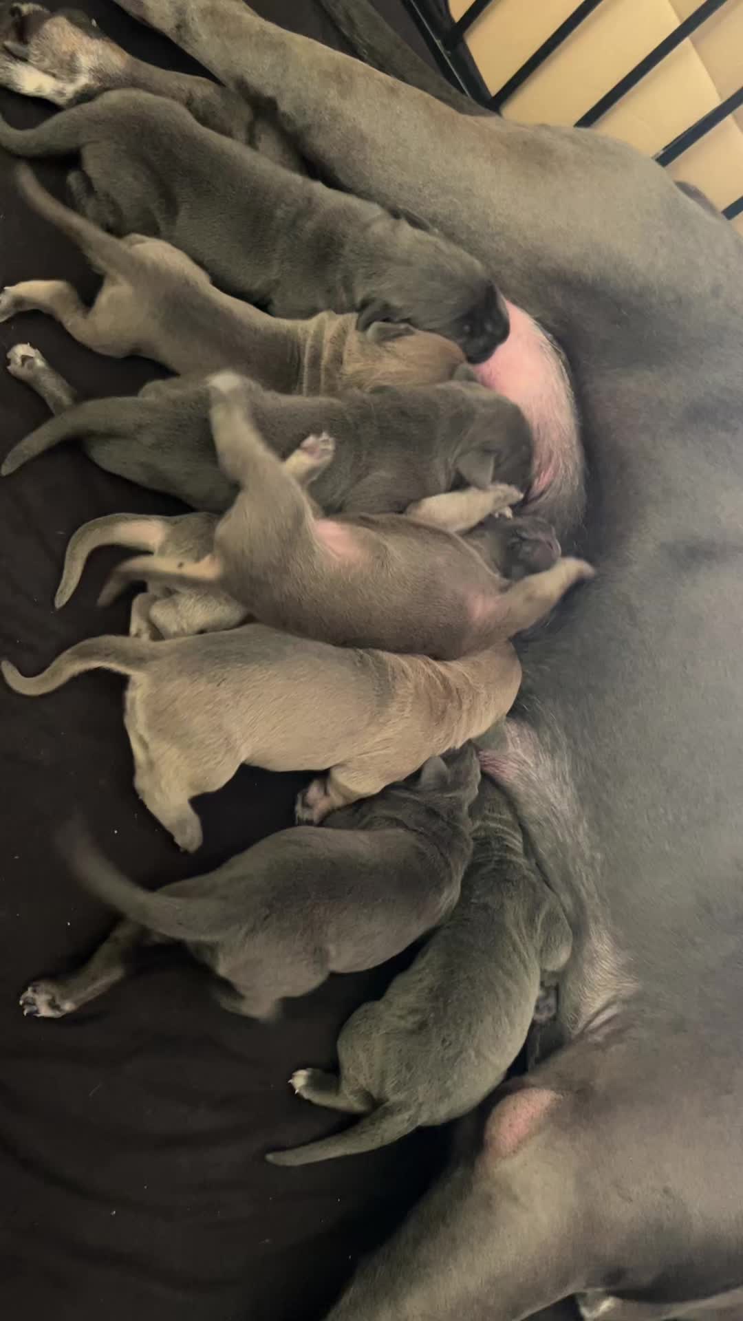 @rsg_818