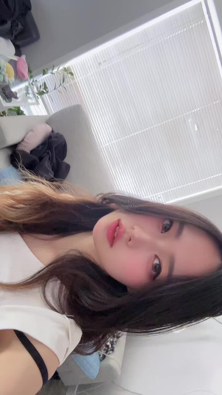 @Dynasty