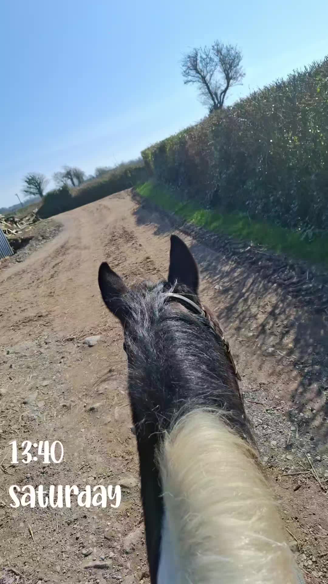 @Clodagh 🤍