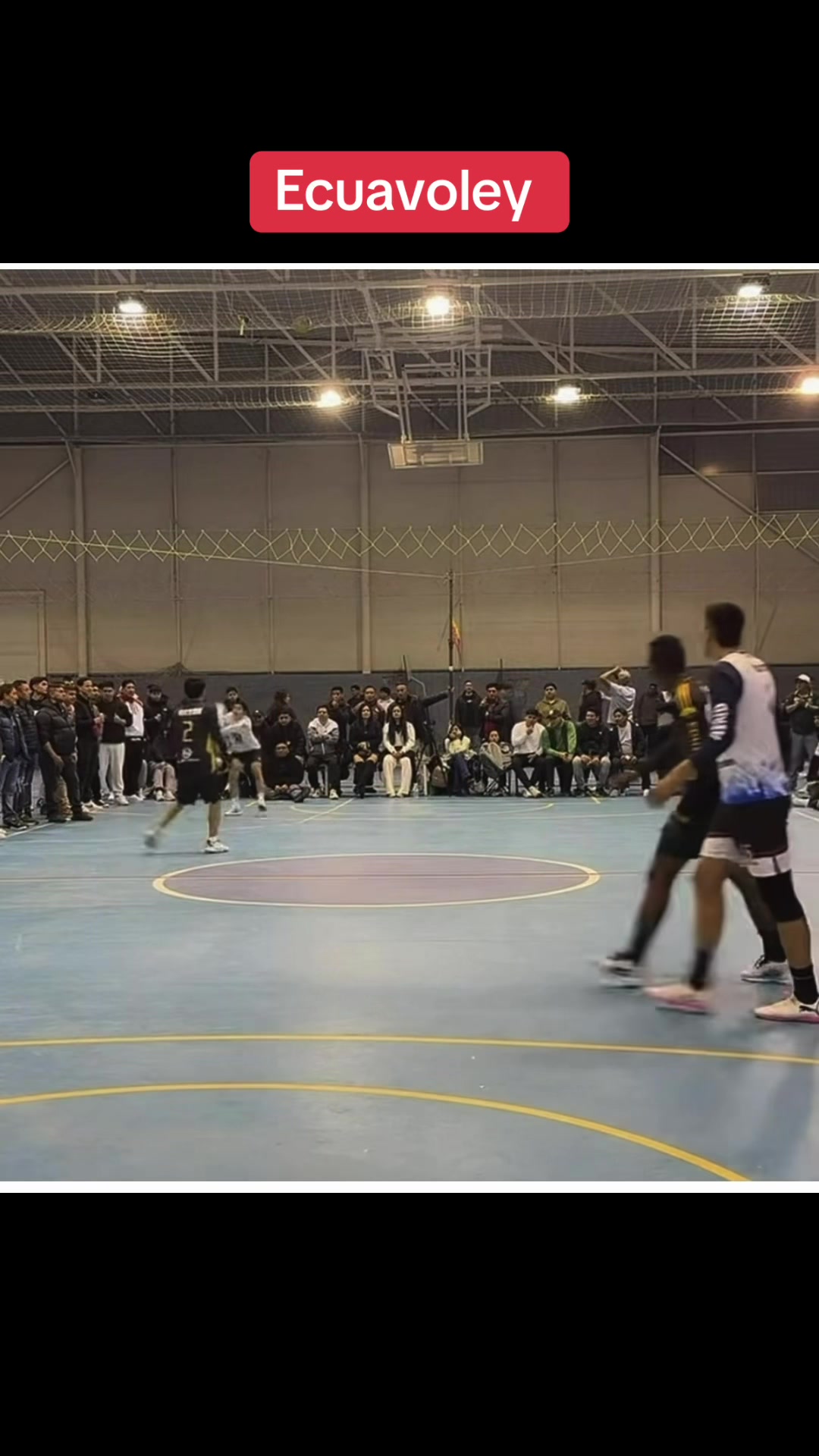 @Fran Jara