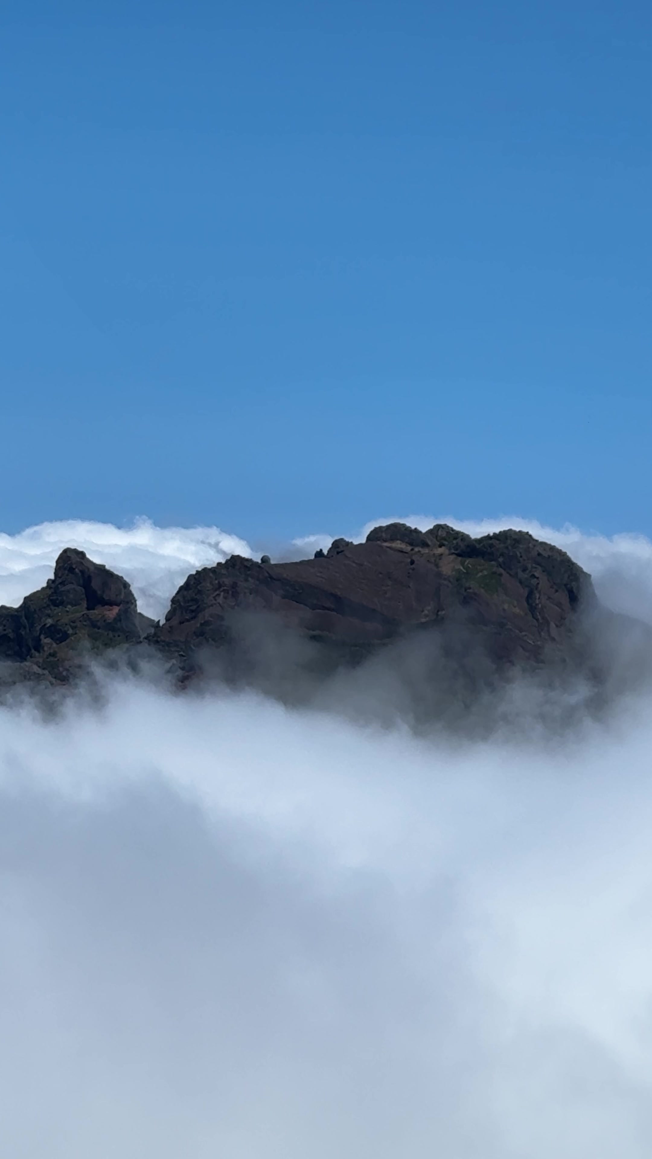 @ImpactAzul Madeira Island Tour