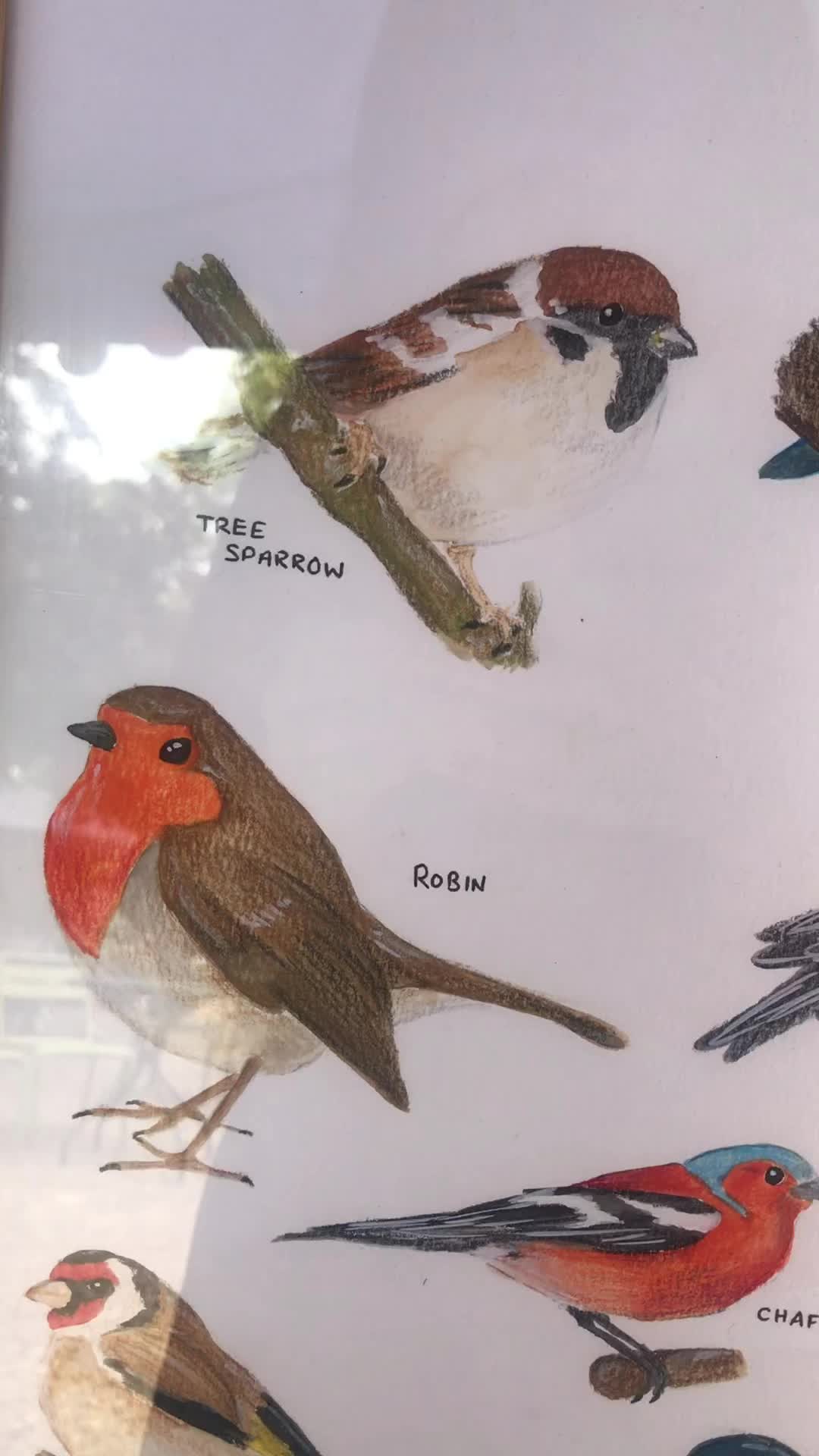 @sarahkathleen_art