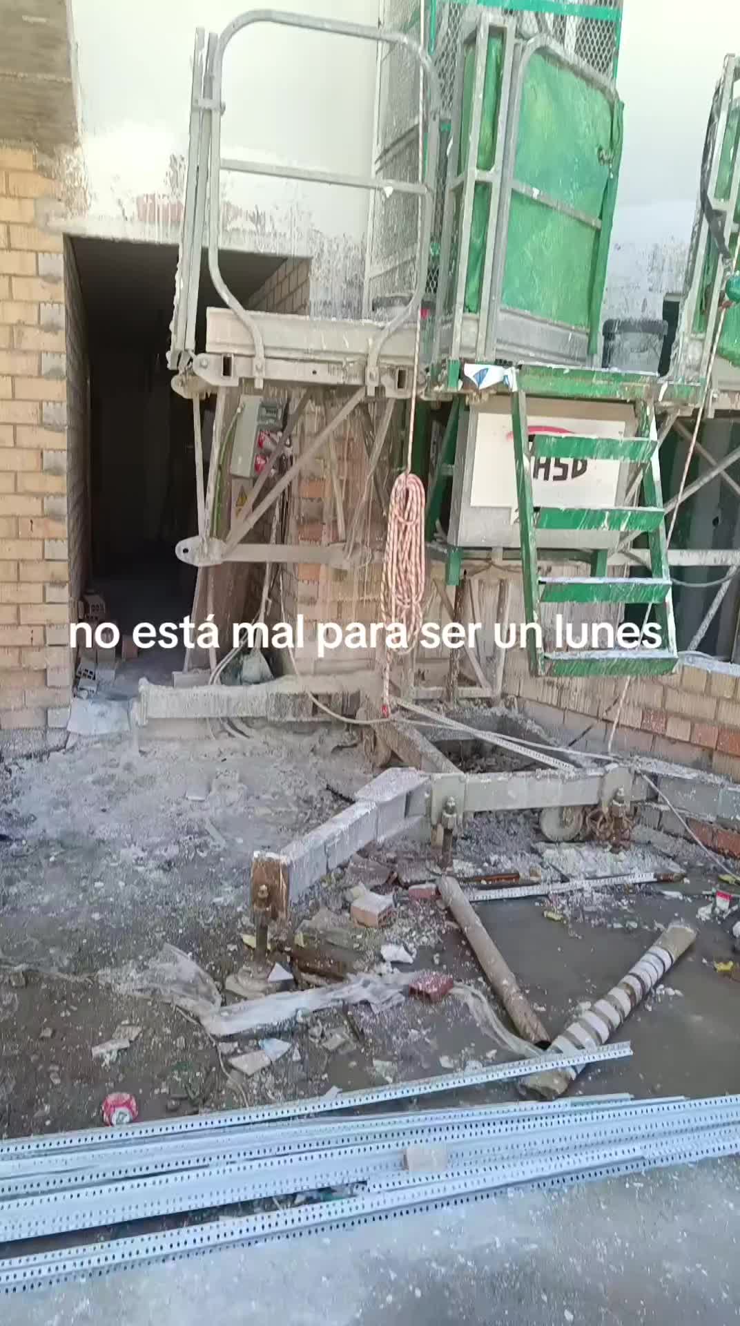 @gallos e trabajo