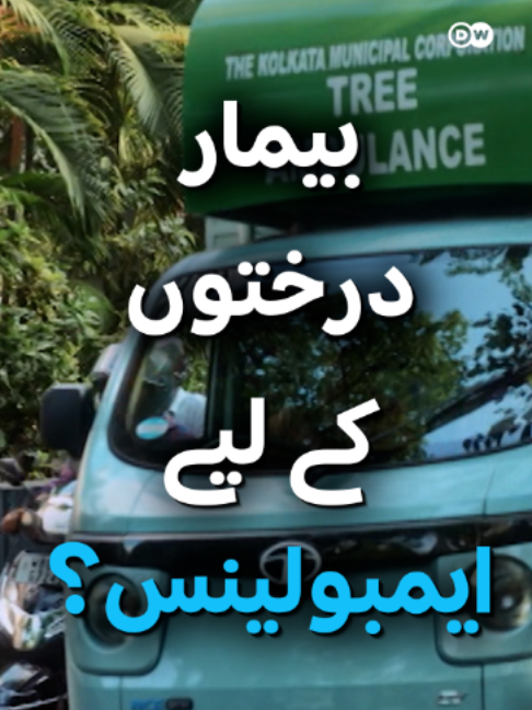 @DW Urdu