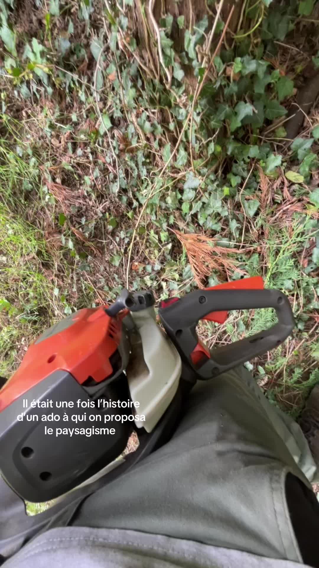 @co🇫🇷🇫🇷