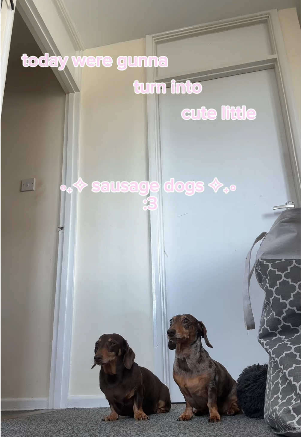 @K ♱
