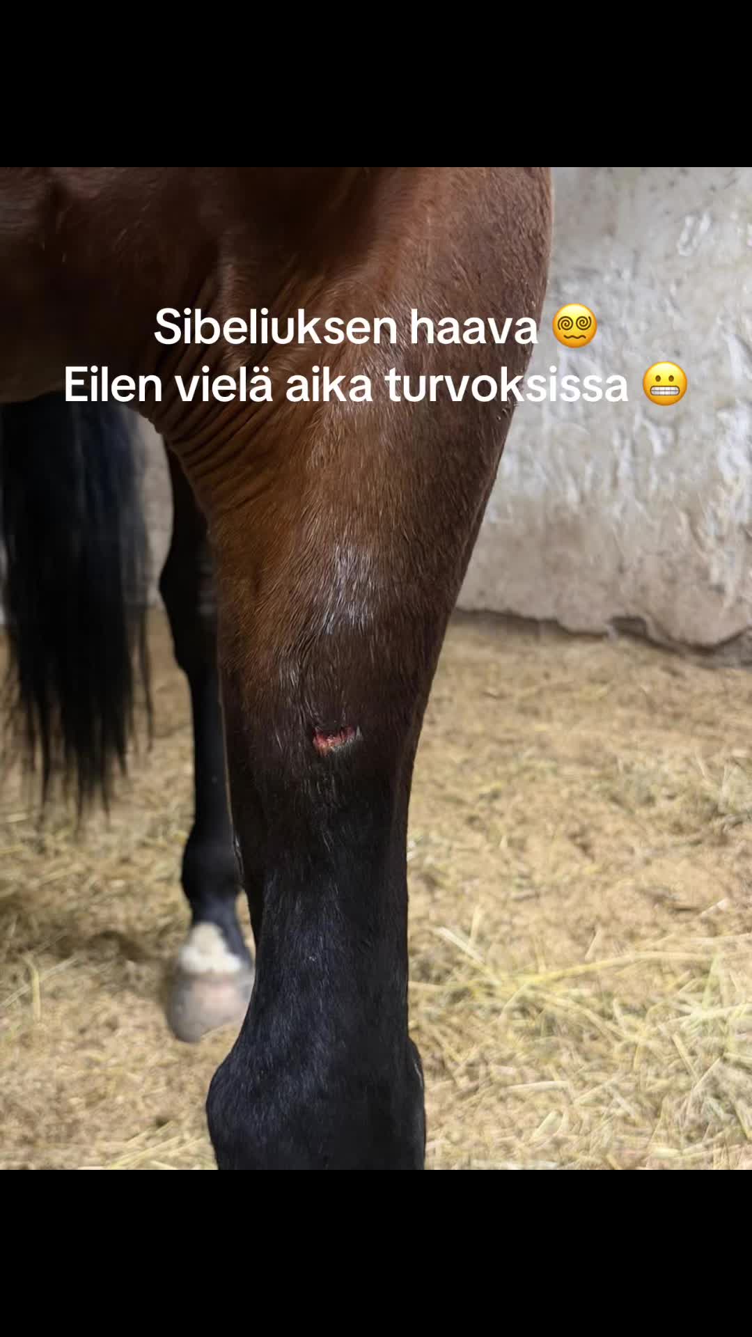 @Rakkautta ja raviurheilua