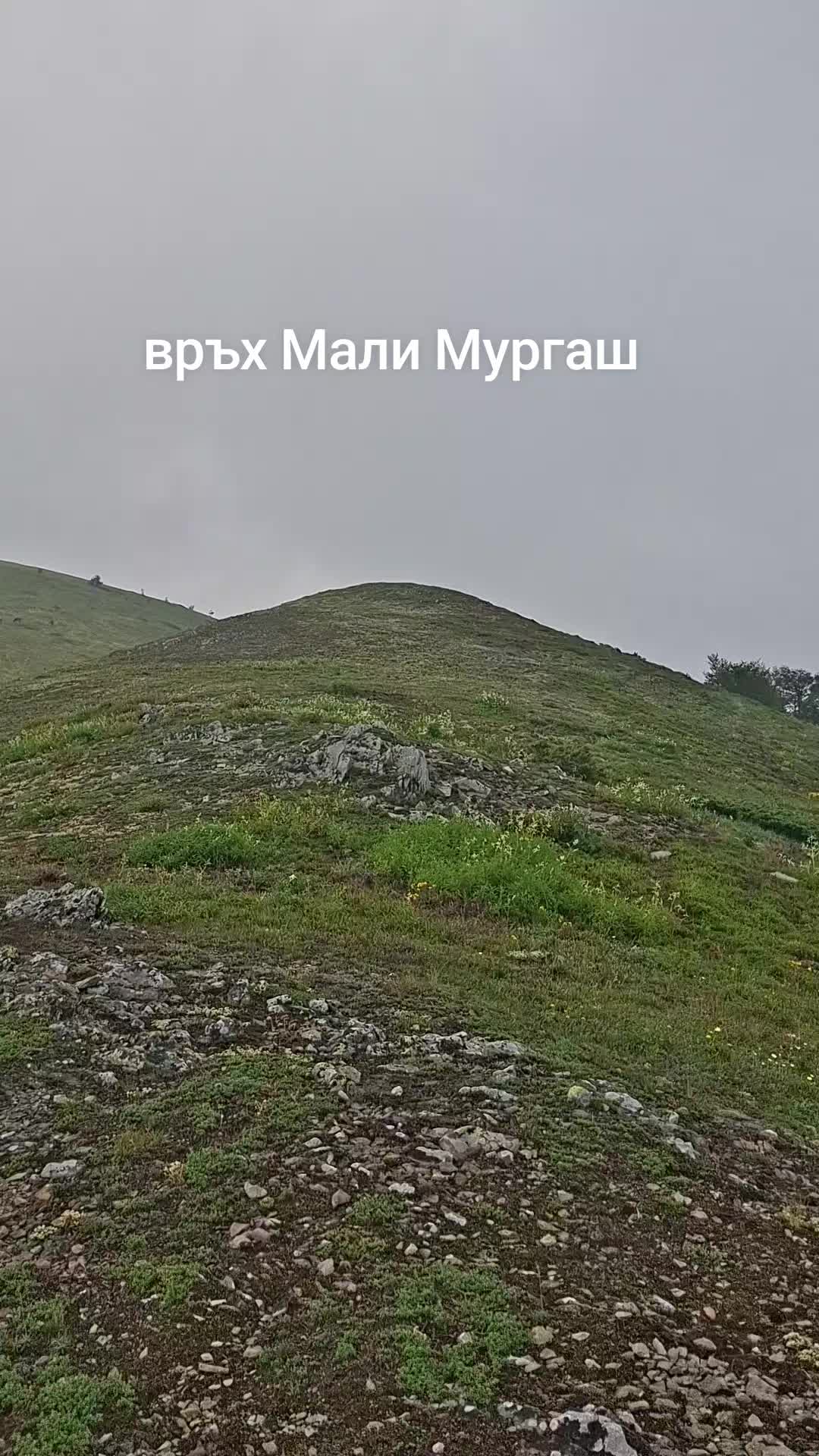 @Nedelin Bozhinov