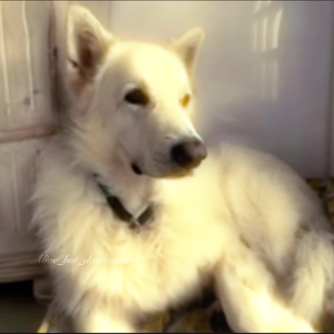 @_phantom_shadow_wrath_