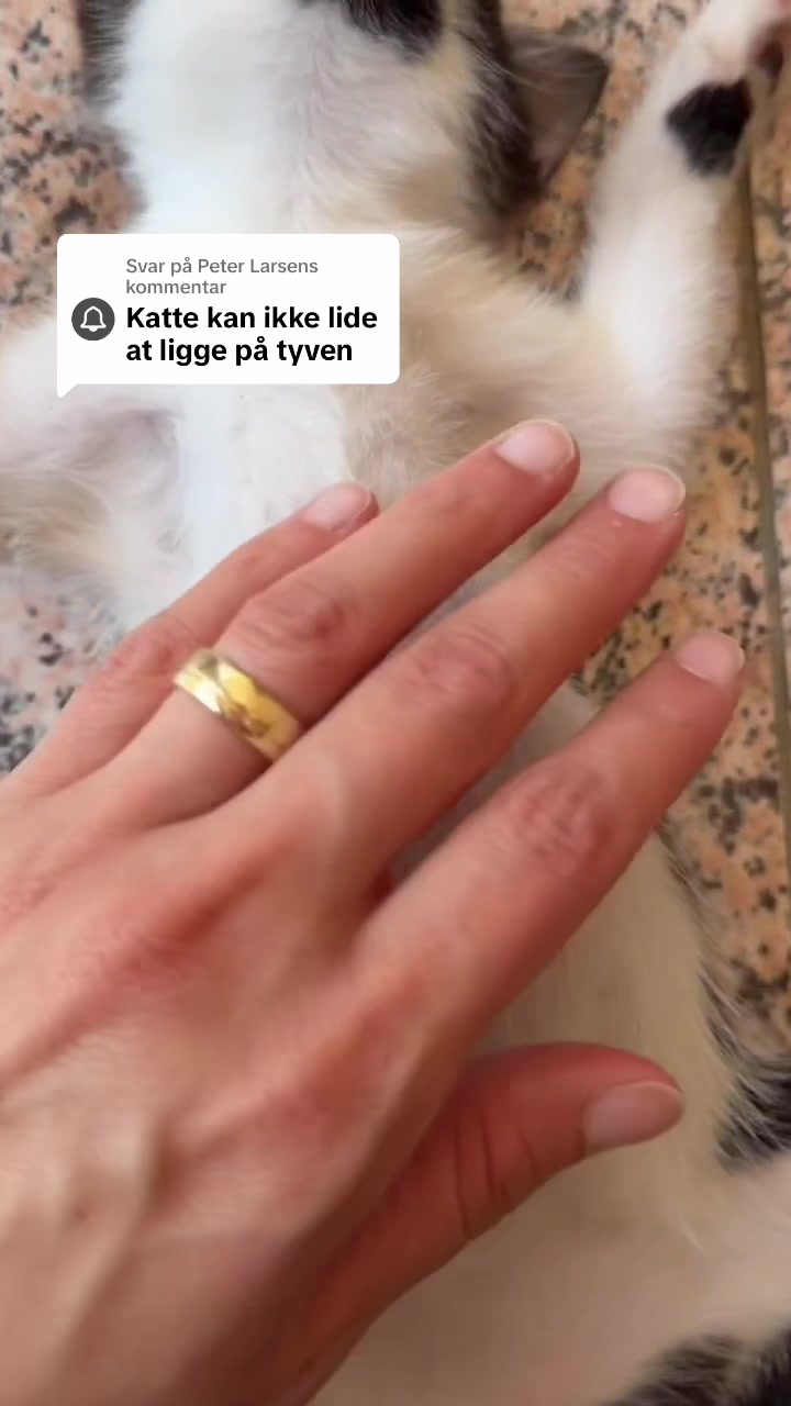 @Hirijet29♥️
